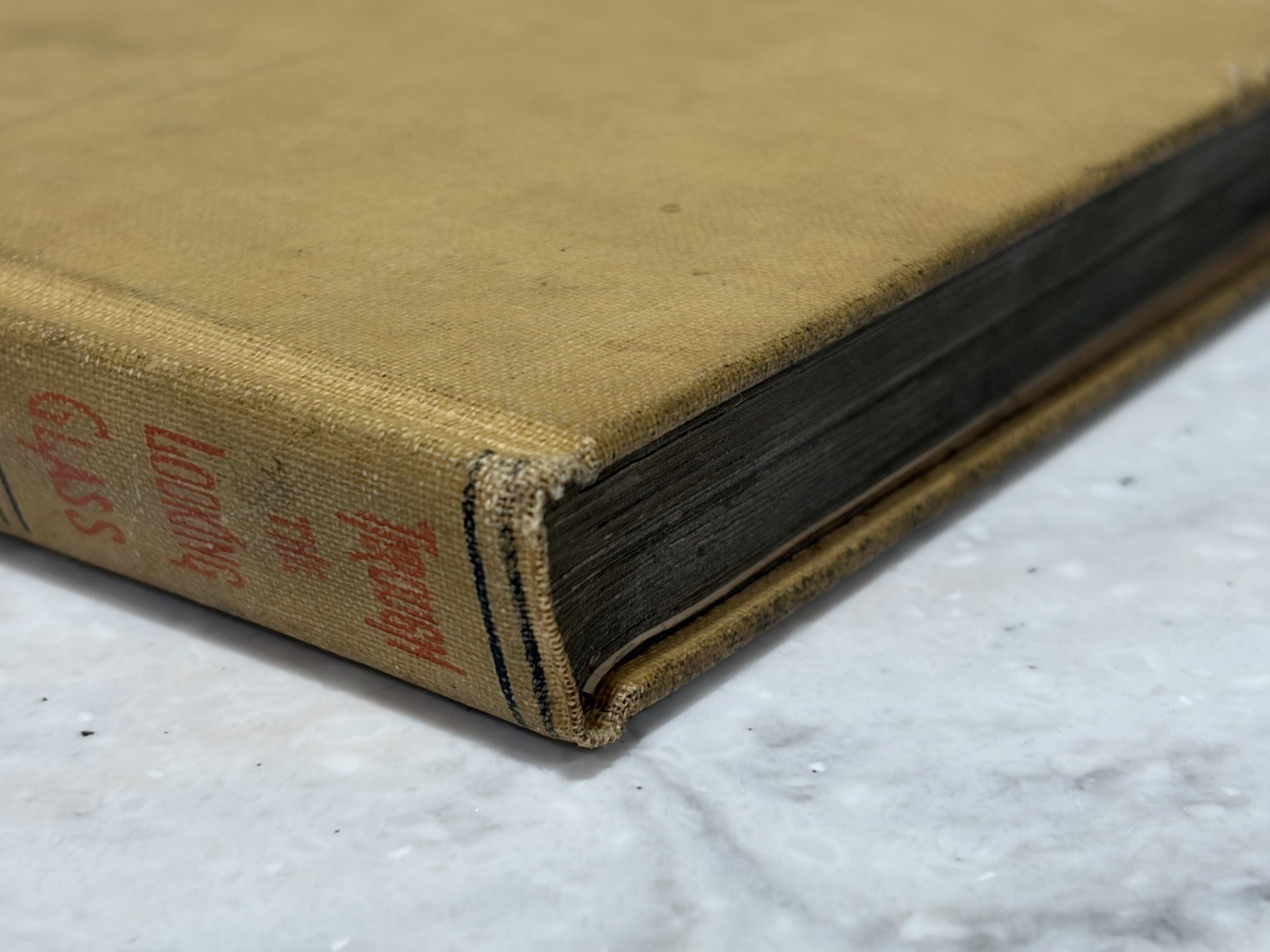 Through the Looking Glass Illustrated 1897 Antique Book Alice In Wonderland