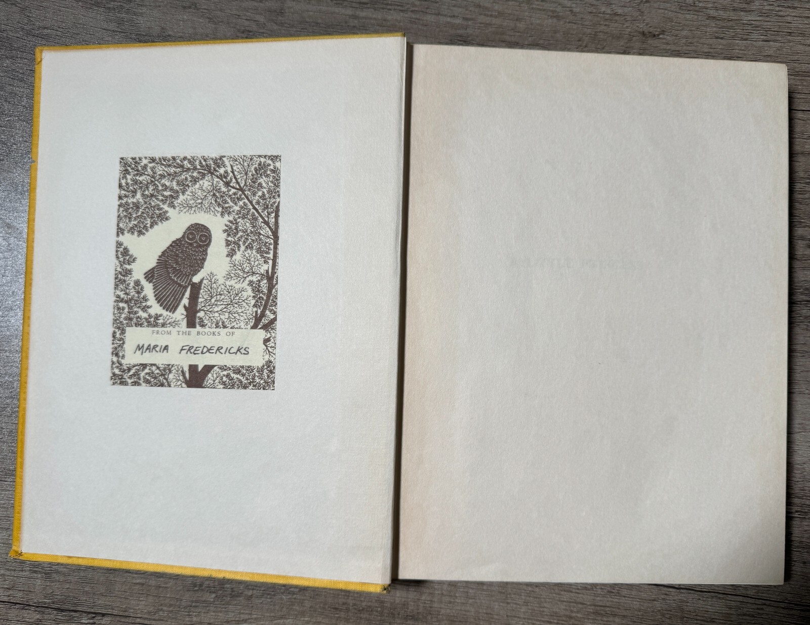 A LITTLE PRINCESS Frances Hodgson Burnett Vintage Ethel Franklin Betts
