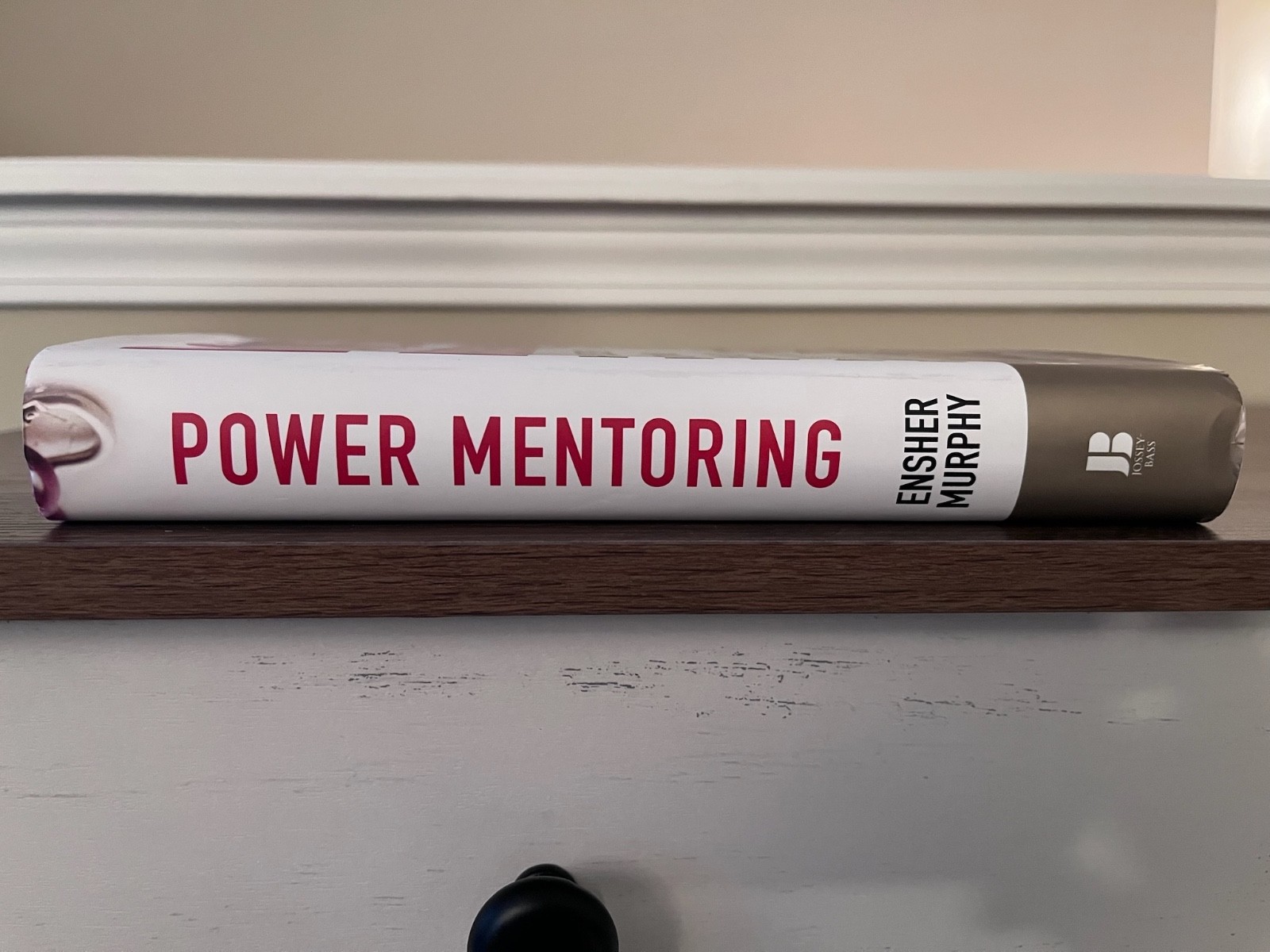 Power Mentoring: How Successful Mentors a- hardcover, Ensher, 9780787979522