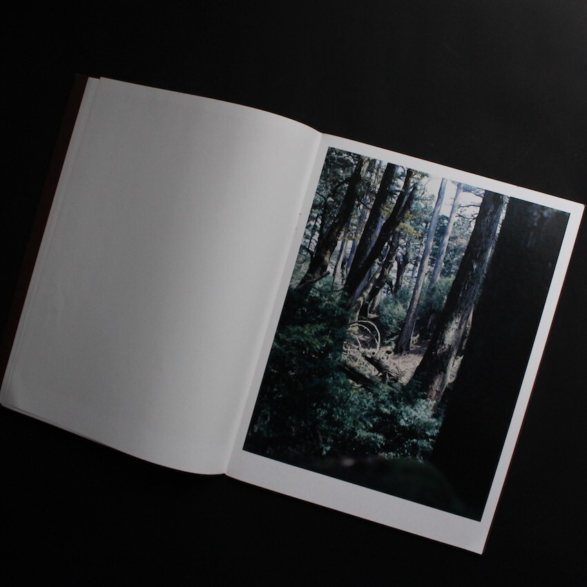 Materia Yoshihiko Ueda 2012 Japanese Photography Book Yakushima Landscape Forest