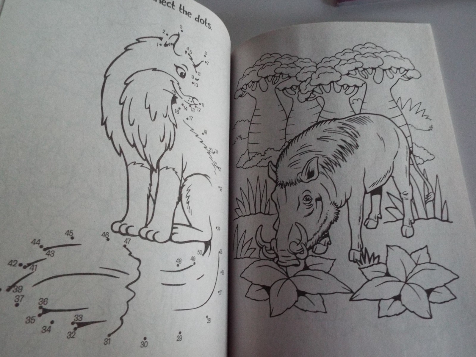 2: Disney Animal Friends Jumbo Coloring &Activity Book & Dreamtivity Stay Wild