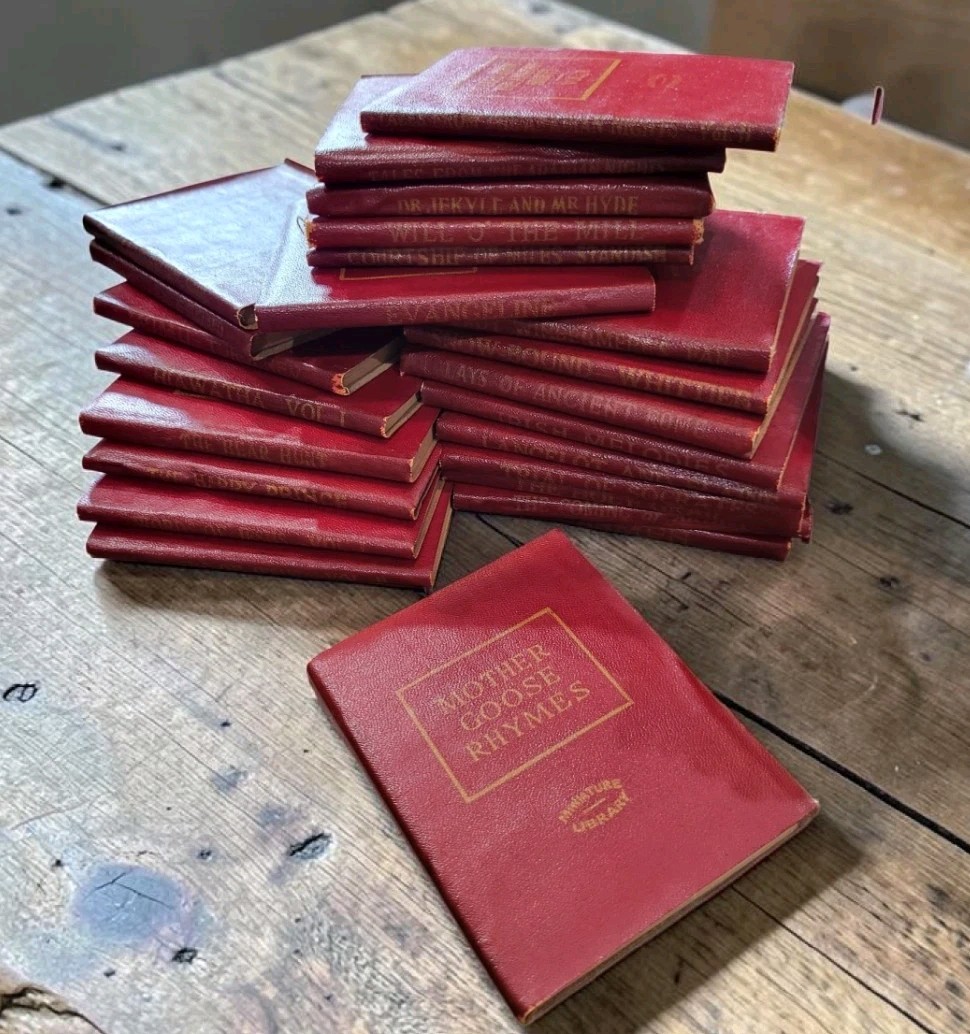 Lot of 66 Vintage 1920s Little Leather Library Miniature Red Books Collection