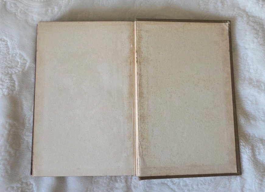 Orange and Green by G.A. Henty Antique Illus. Decorative Cover Ireland Adventure