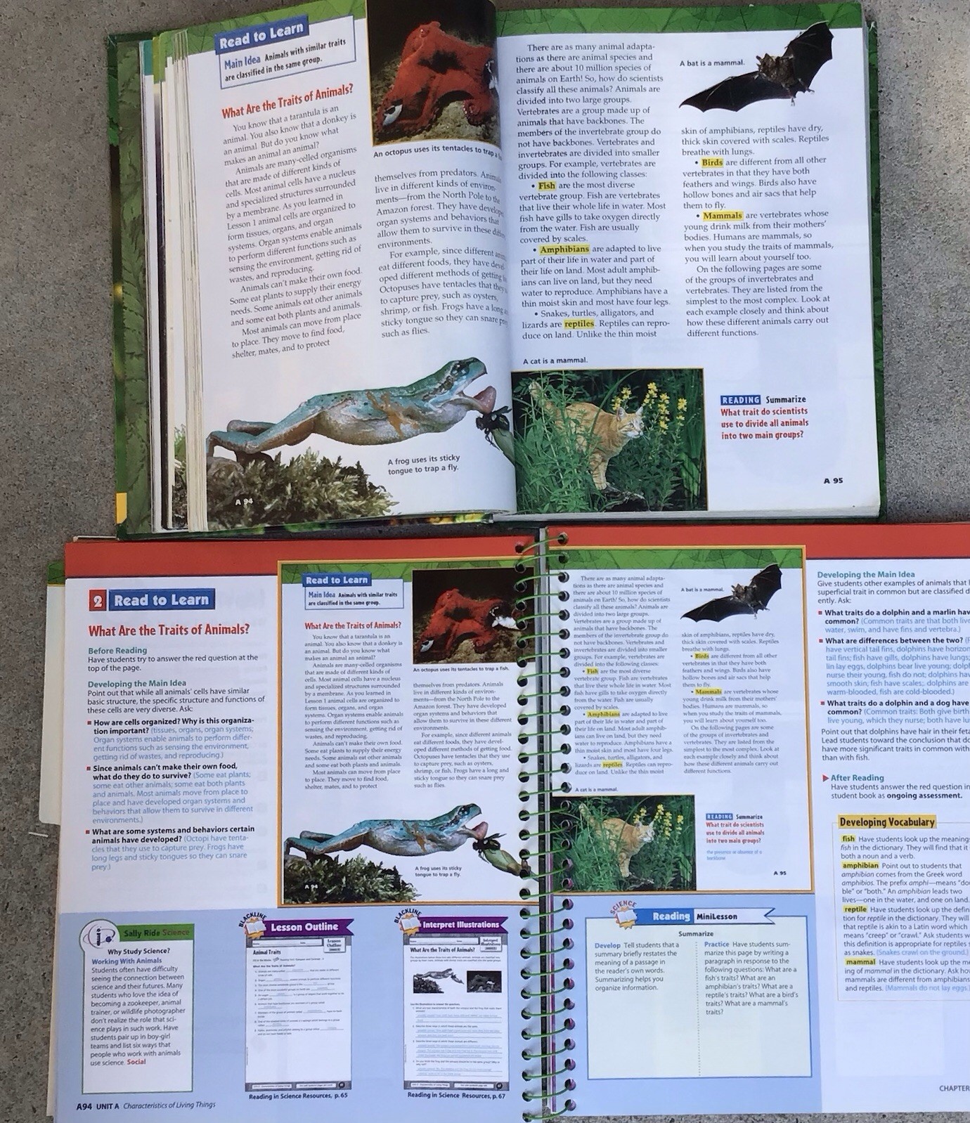5th Grade 5 Science Teacher Edition Tests Resources Homeschool McGraw Set