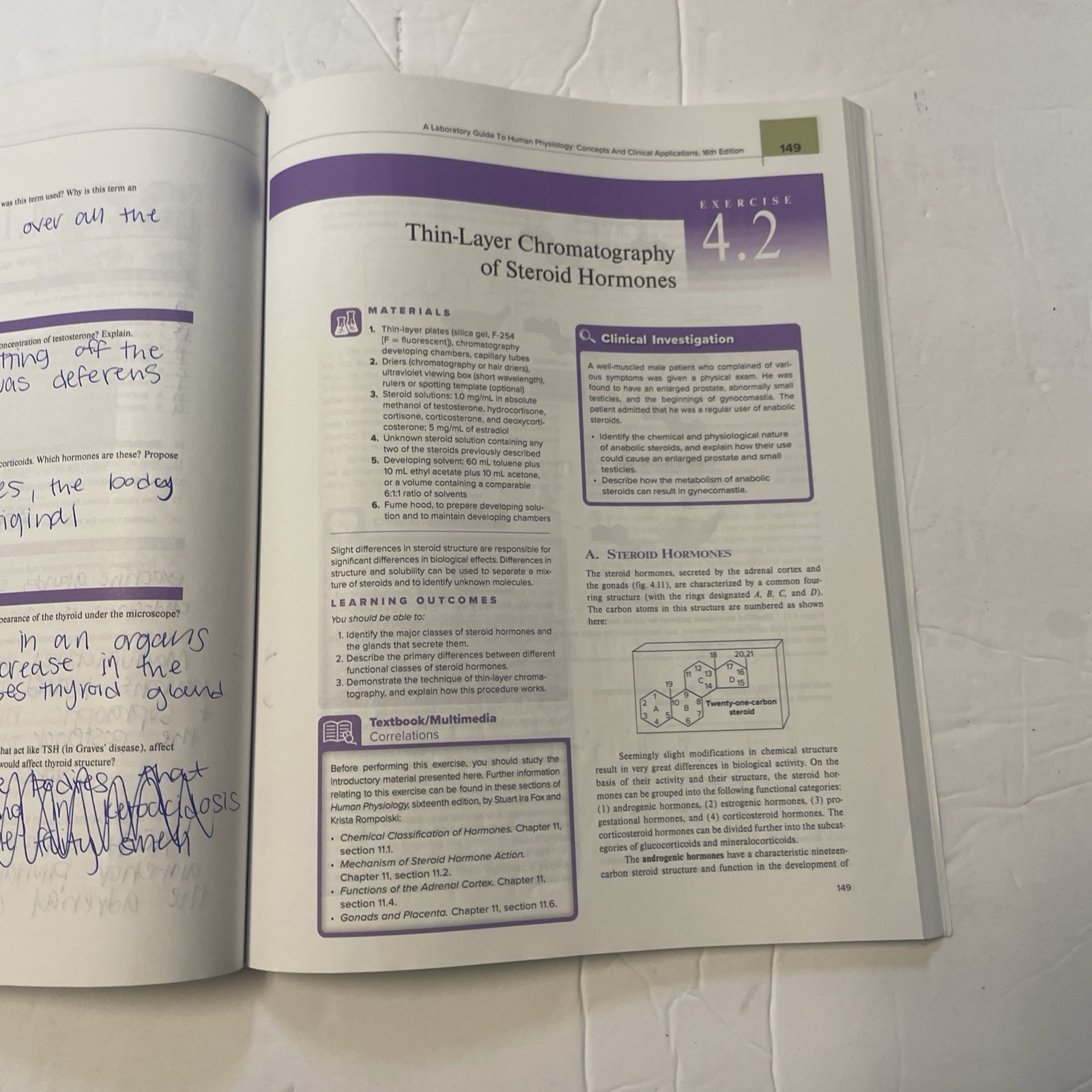 Loose Leaf for Human Physiology – Loose Leaf, by Fox Stuart Ira