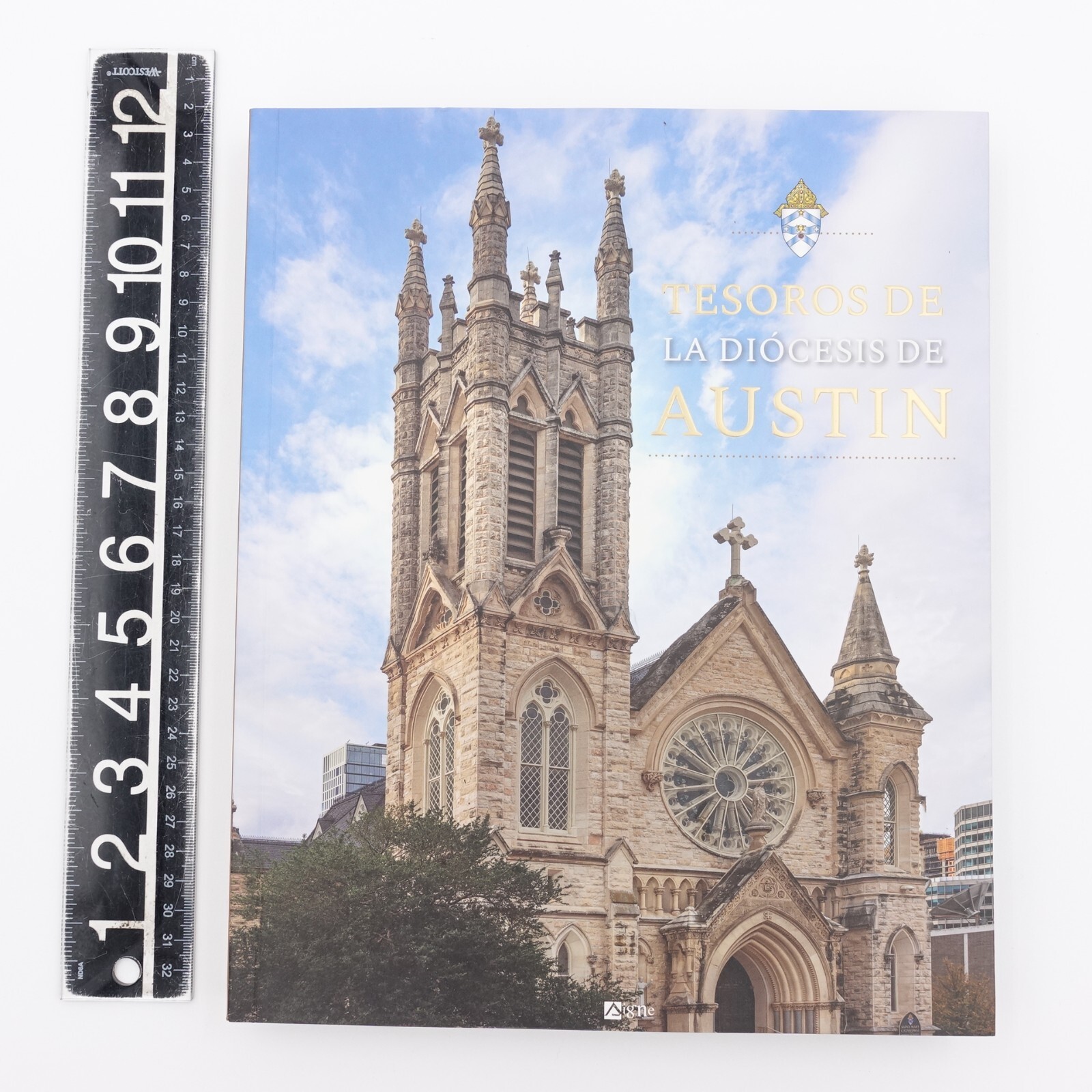 Tesoros De La Diocesis De Austin PB 2022 392 Pages Spanish Edition 9782746843905