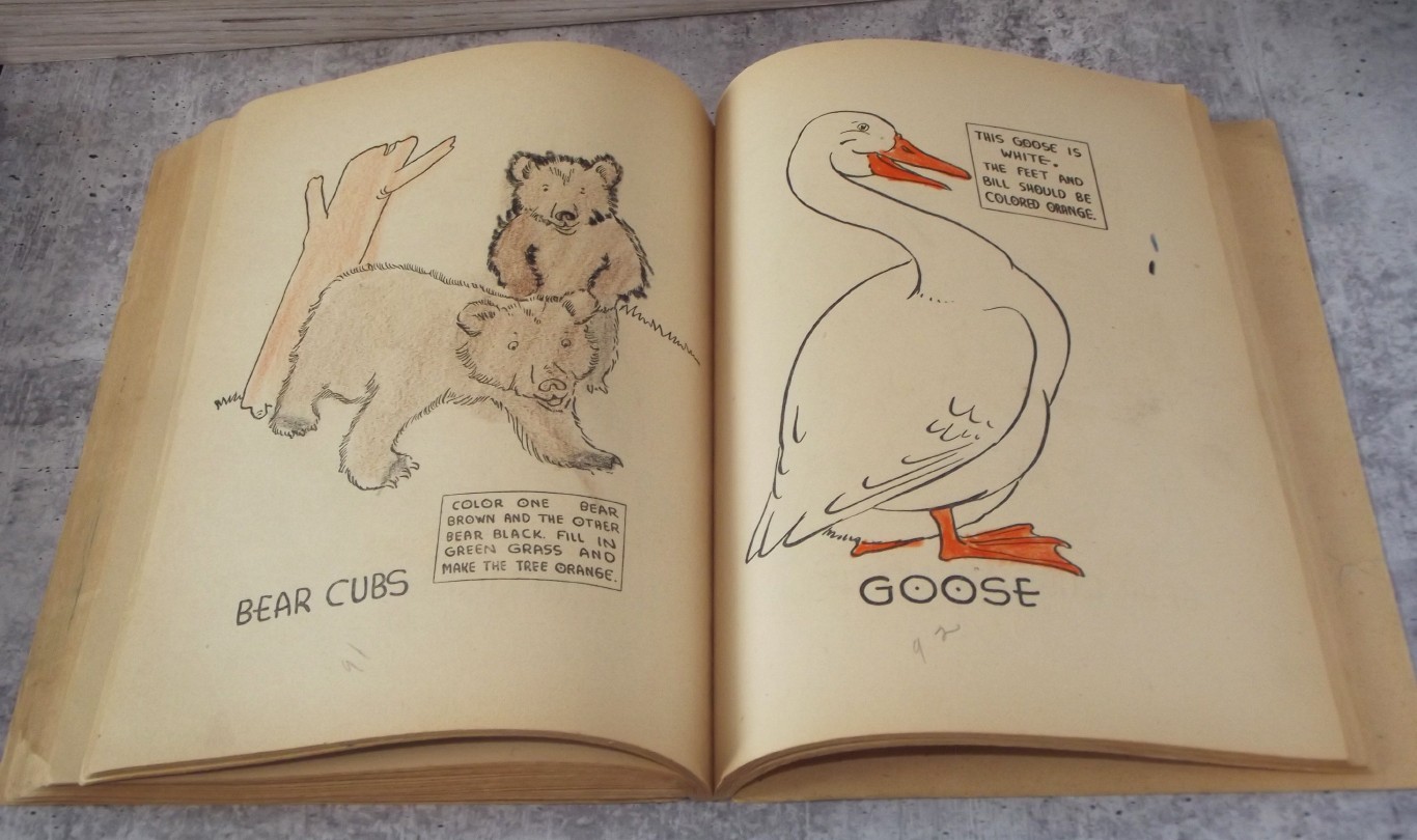 1936 Birds, Flowers and Animals Coloring Book, Used Coloring Book 144 PAGES EB29