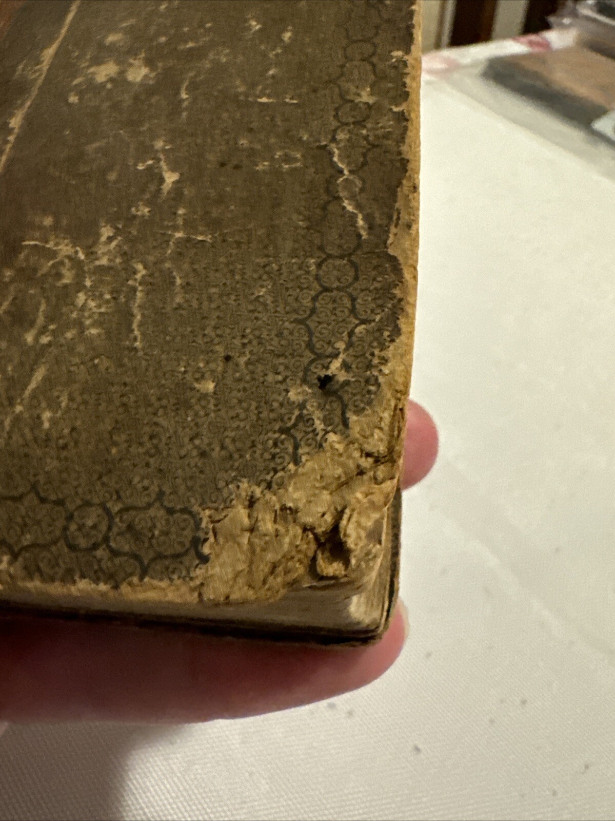 Richelieu A Tale Of France 1842, Volume 1…264 Pages