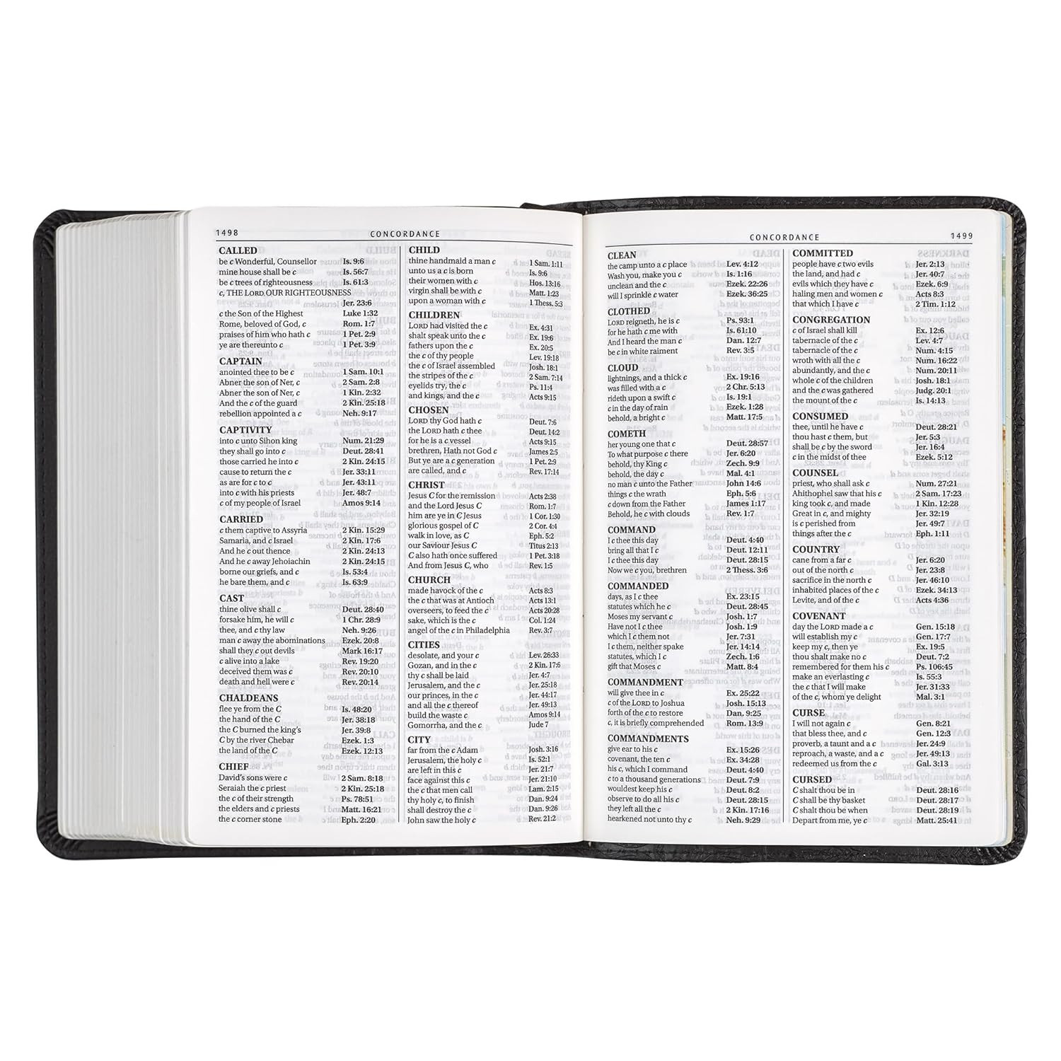 KJV Holy Bible, Compact Large Print Faux Leather Red Letter Edition – Ribbon Mar