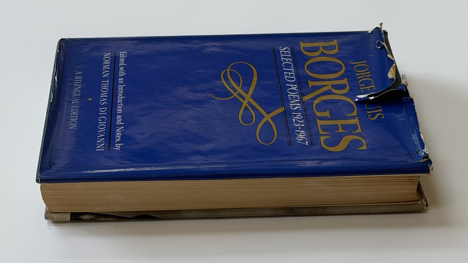 Selected Poems Jorge Luis Borges VTG HARDCOVER 1972 blingual collected poetry of