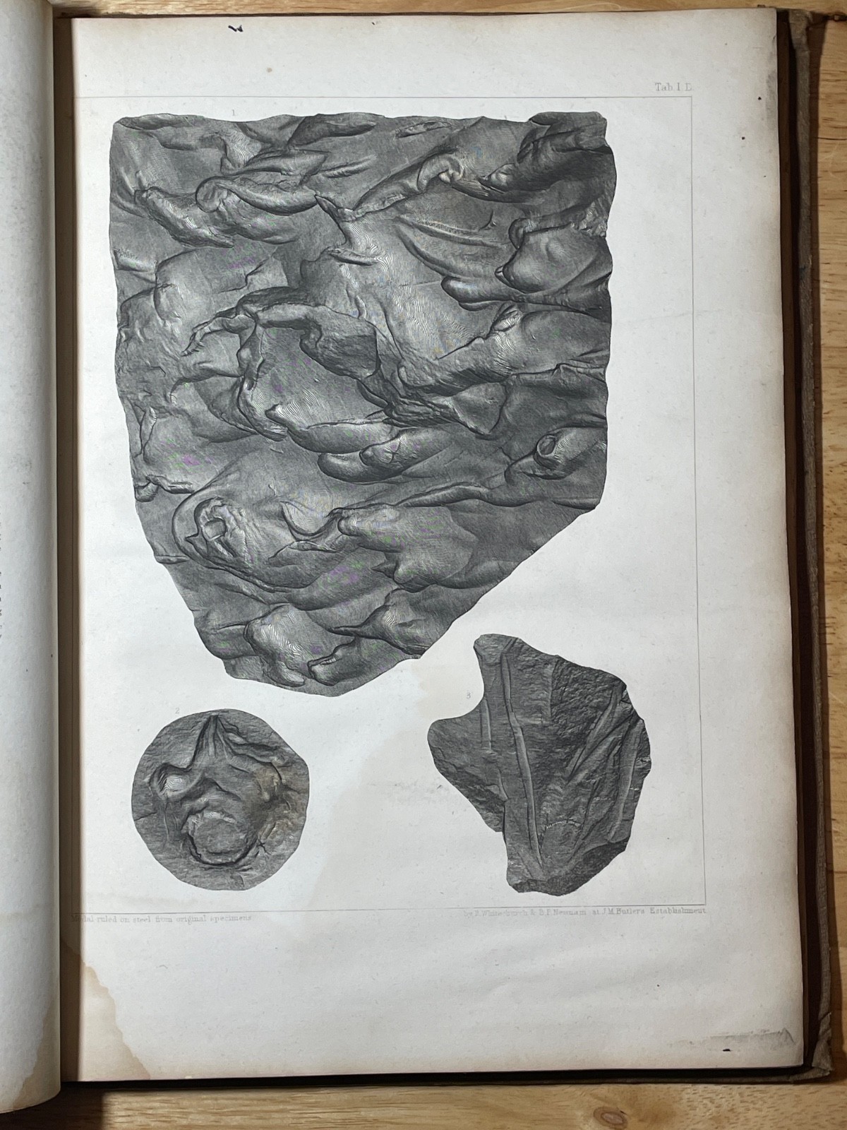 Illustrations to Owen’s Geological Survey 1852 David Dale Owen Wisconsin RARE