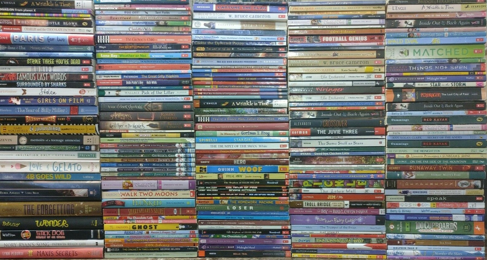 RANDOM Lot of 100 4th Grade AR Chapter Books RL Level 4.0-4.9 Homeschool Teacher