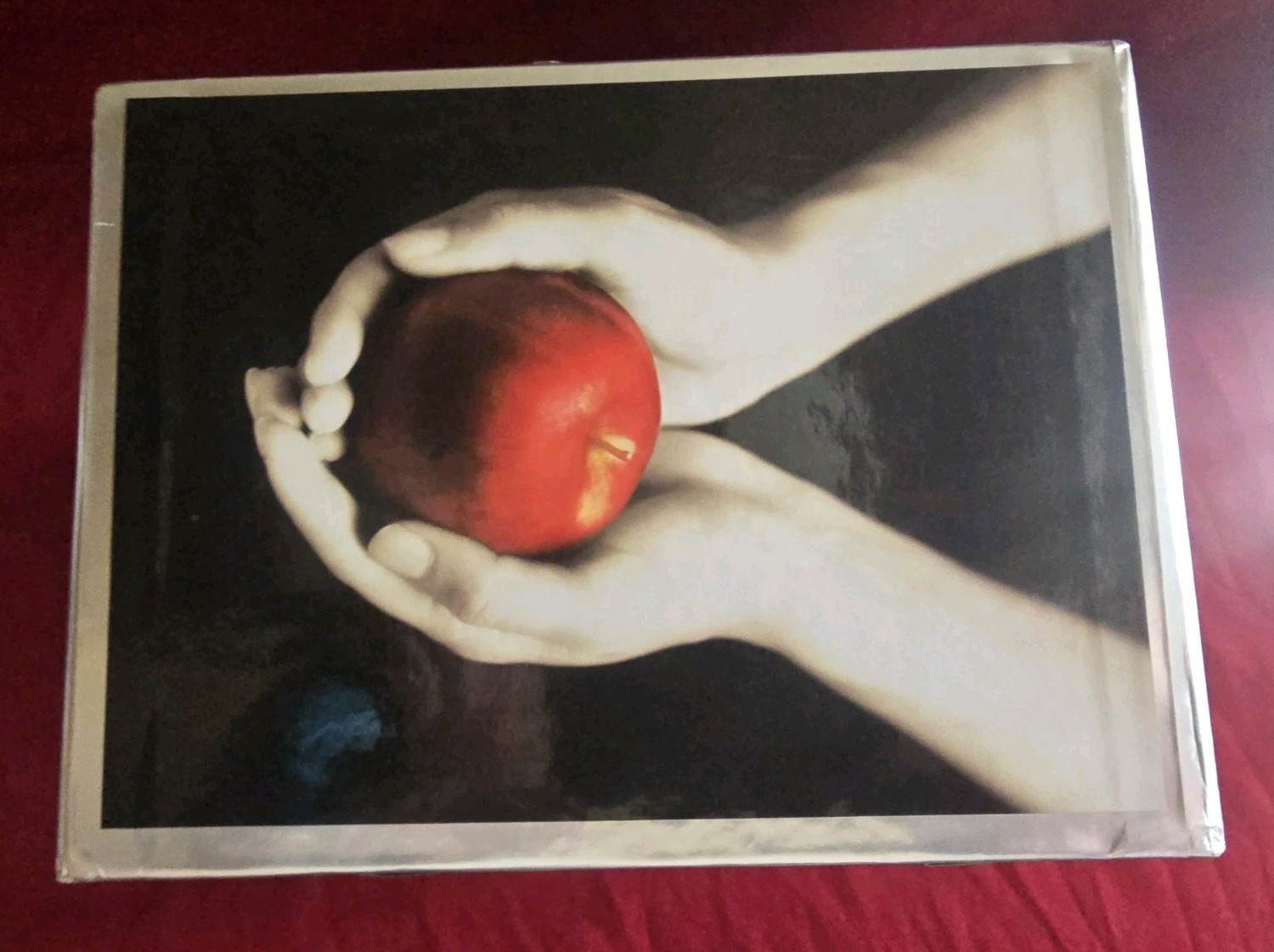 The Twilight Saga Ser.: The Twilight Saga Complete Collection by Stephenie Meyer