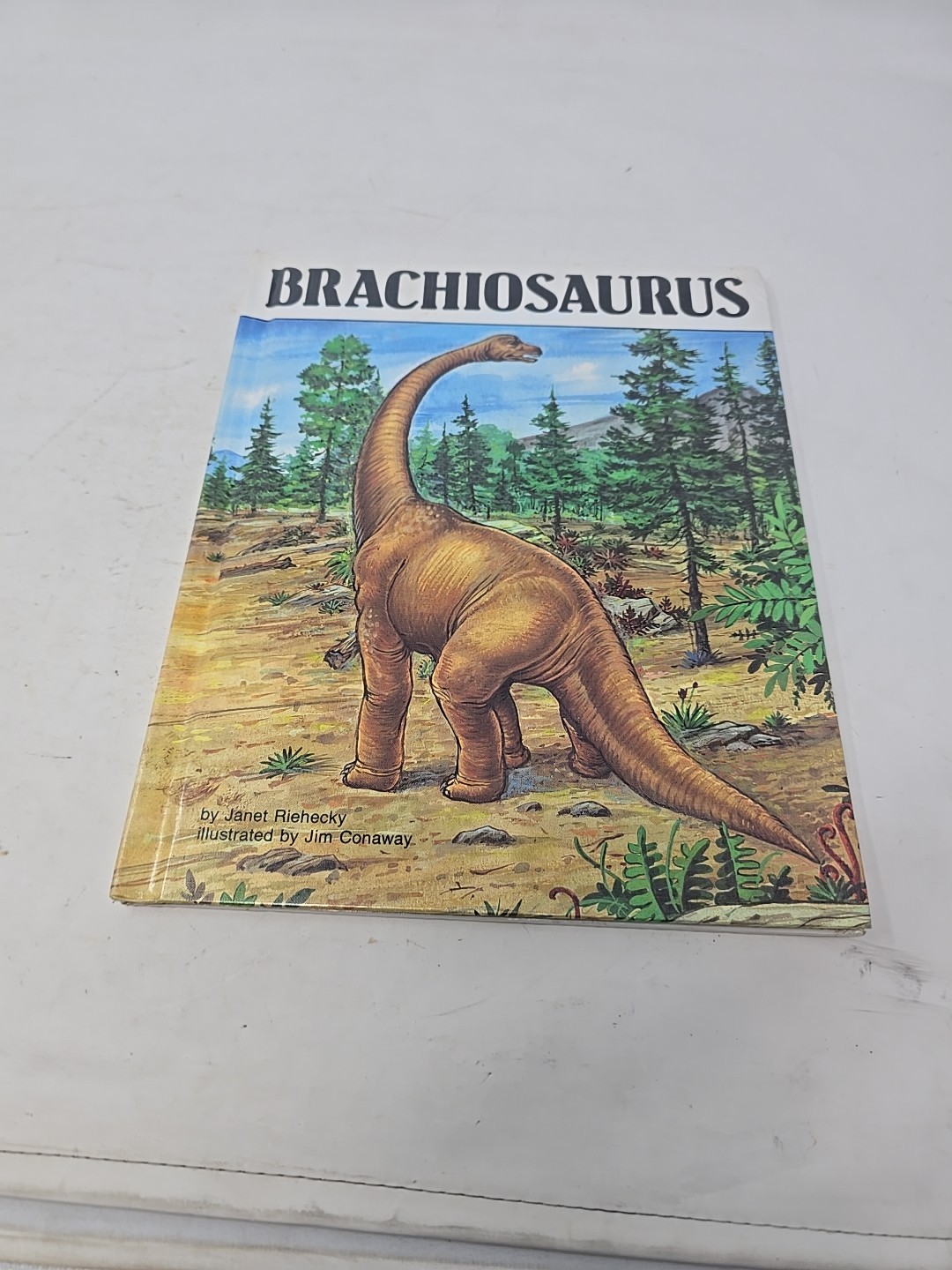1990s Lot of 4 Dinosaur Hardcover Books By Janet Riehecky The Child’s World EUC