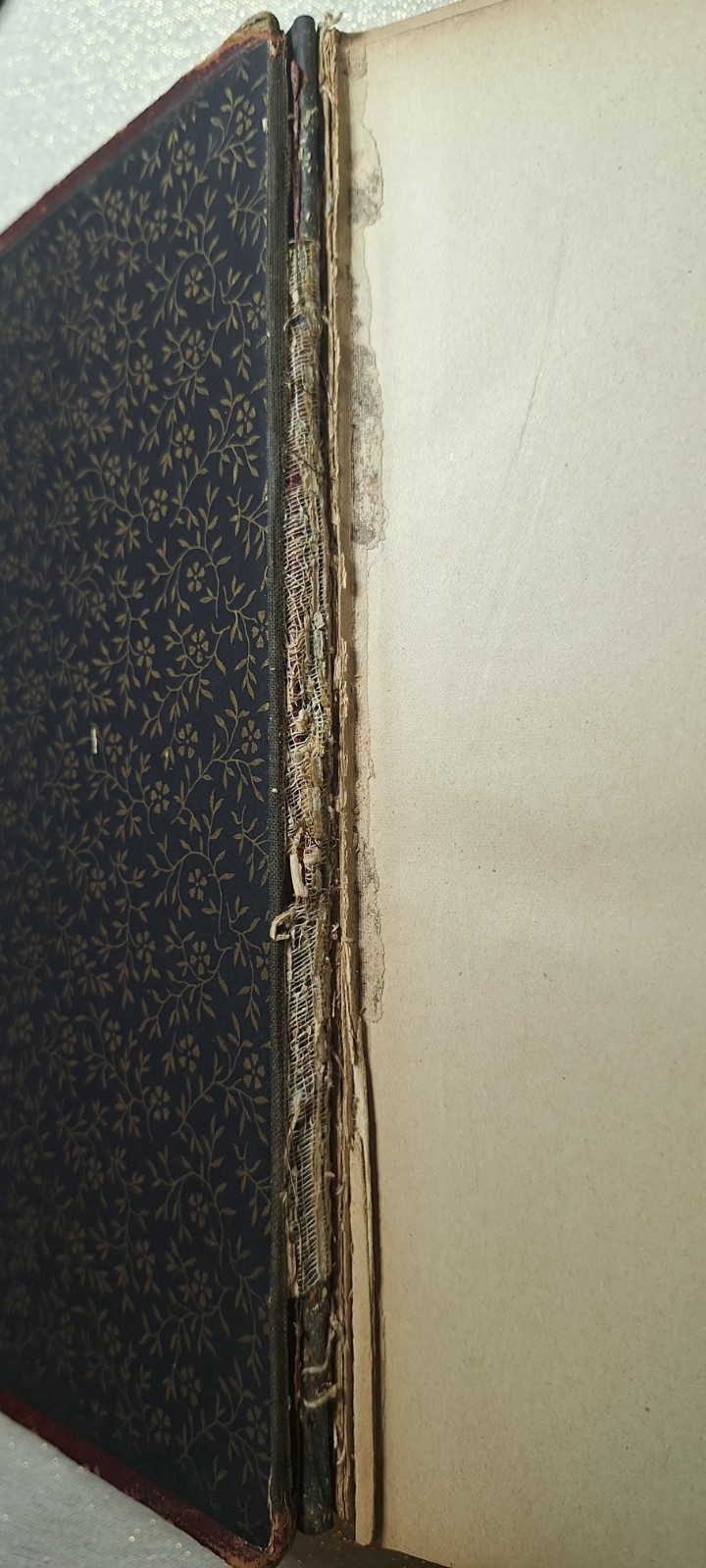 Antique Shakespeare Art Edition 1889 Decorative Debossed Gold Gilt Cover, Edges