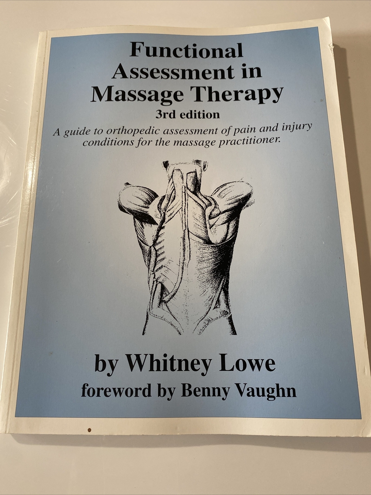 Functional Assessment in Massage Therapy by Whitney W. Lowe (1995, Trade…