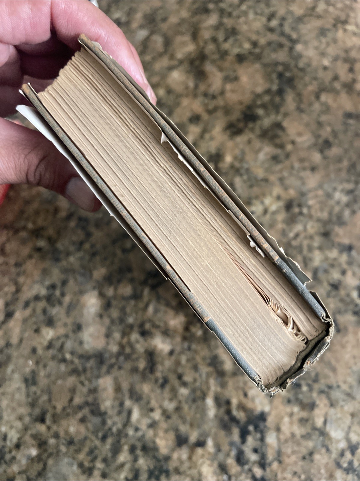 The Emerald Crown – Theodora McCormick 1955 HCDJ Book Club Edition