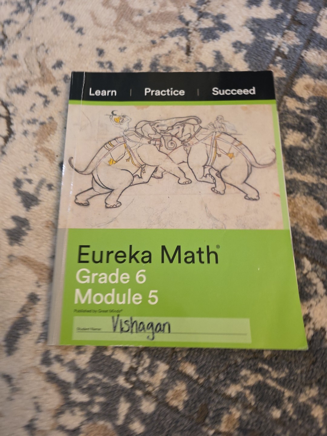 Eureka Math Grade 6 Module 5 [USED]