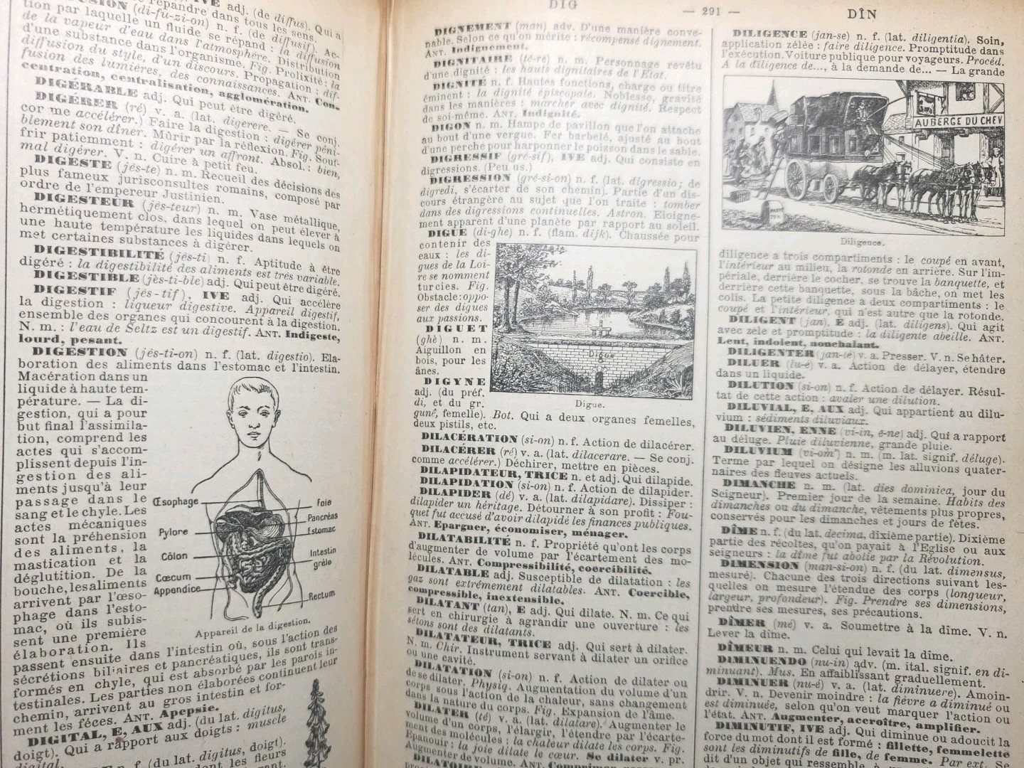 Antique 1920s Petit Larousse Illustrated Dictionary Paris HC French 1664 Pages