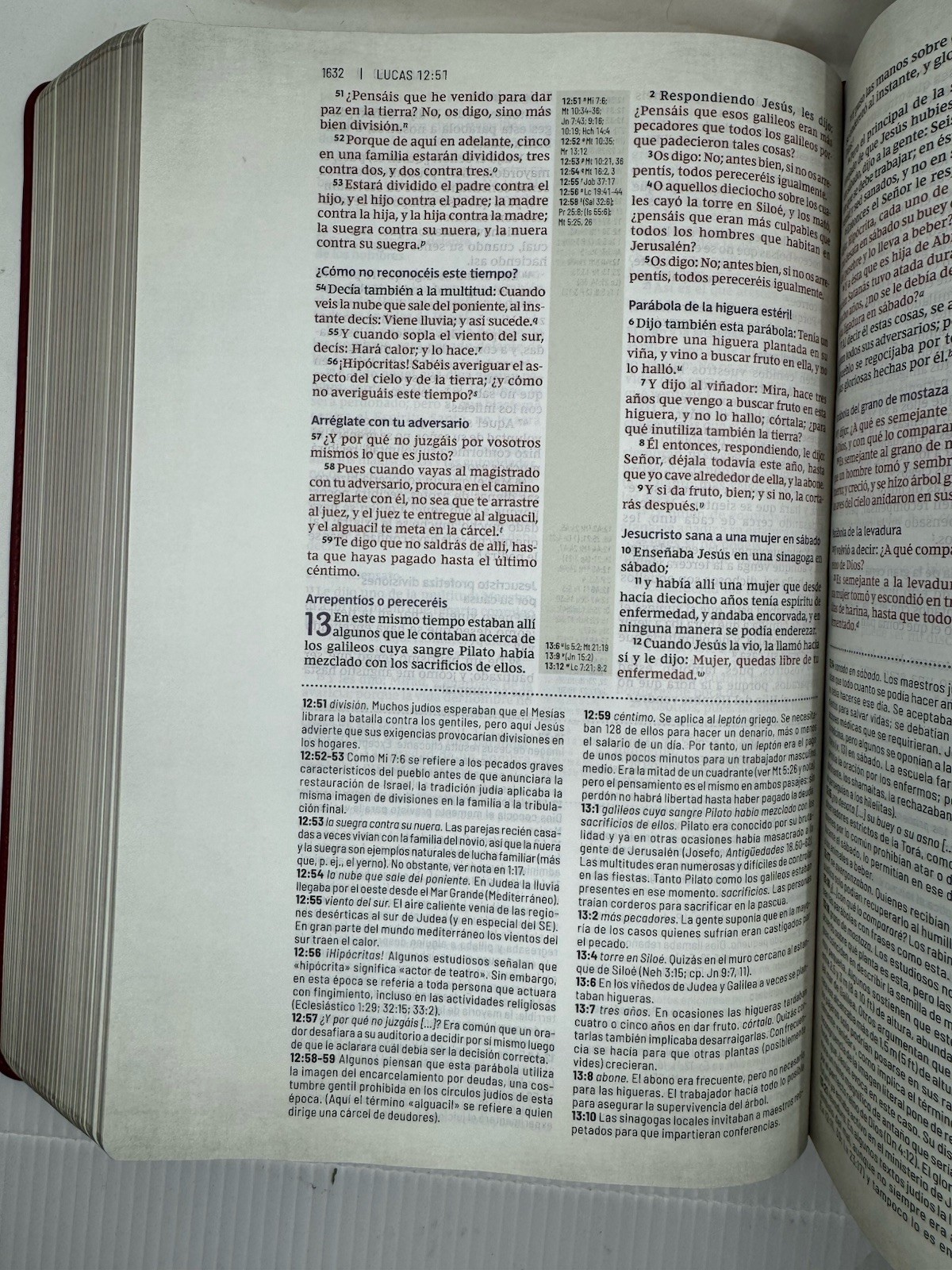 RVR, Biblia de Estudio Trasfondo Cultural, Leathersoft, Rojo Vino, Interior a…