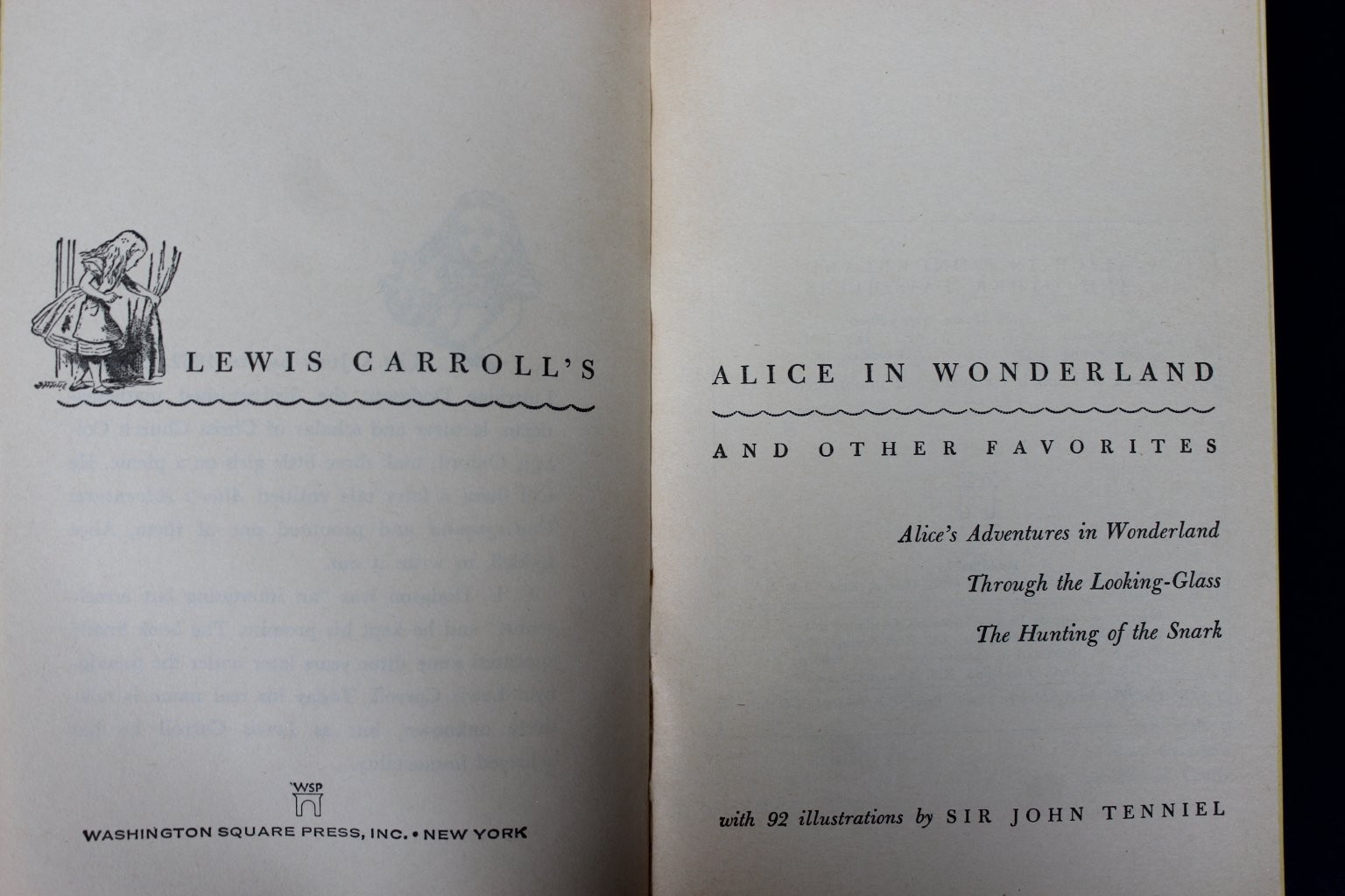 Alice in Wonderland Lewis Carroll 1967 Tenniel Illustrated Washington Square PB
