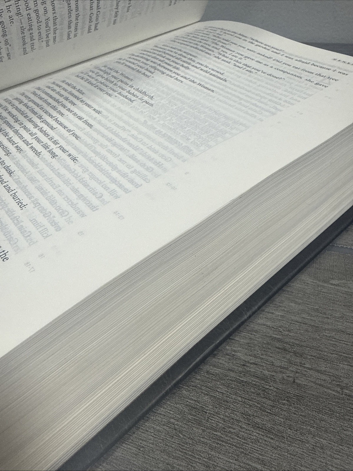 The Message Study Bible: Capturing the Notes and Reflections of Eugene Peterson