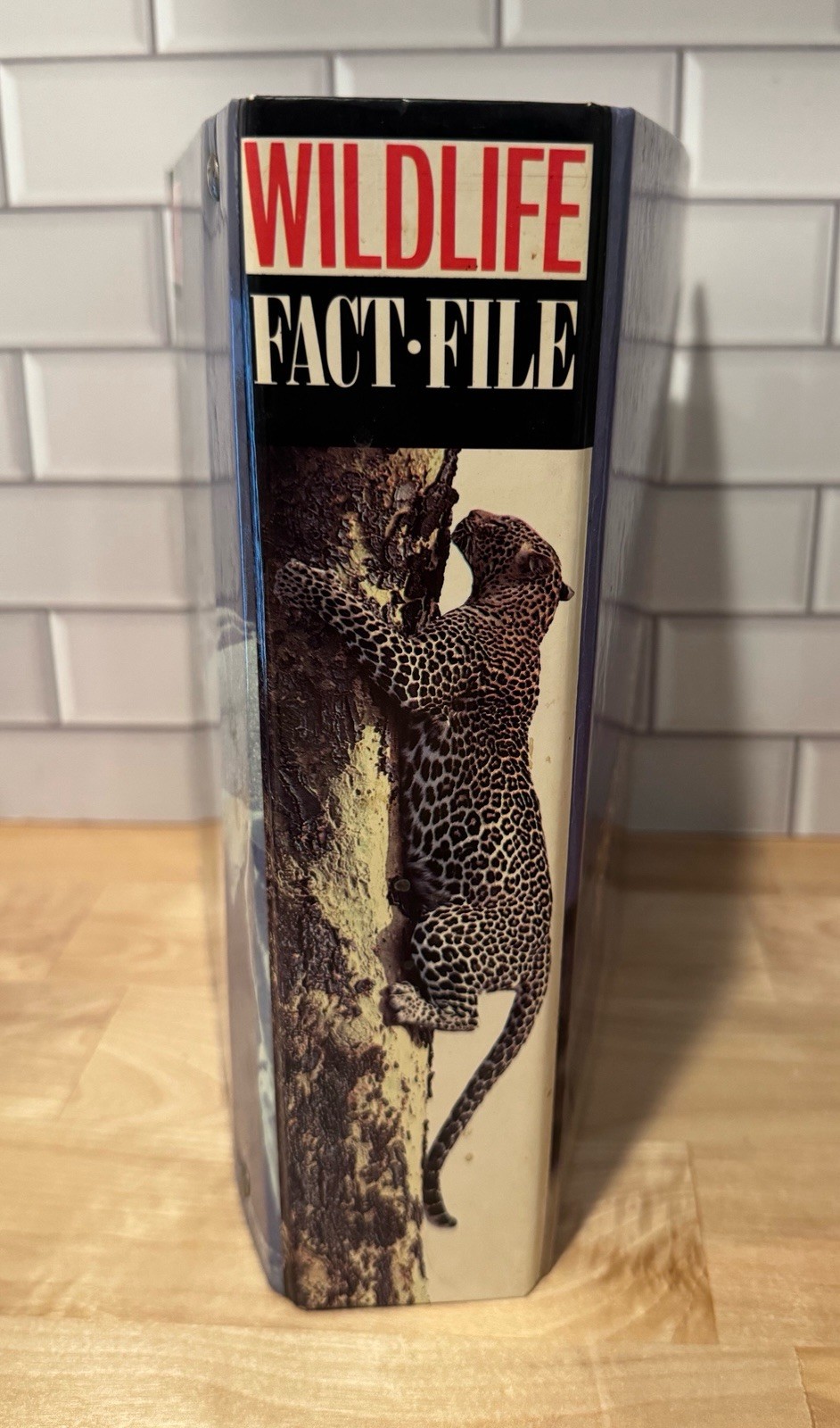 Wildlife Fact File Card Set Group 1-2 Binder Mammals Birds Near Complete
