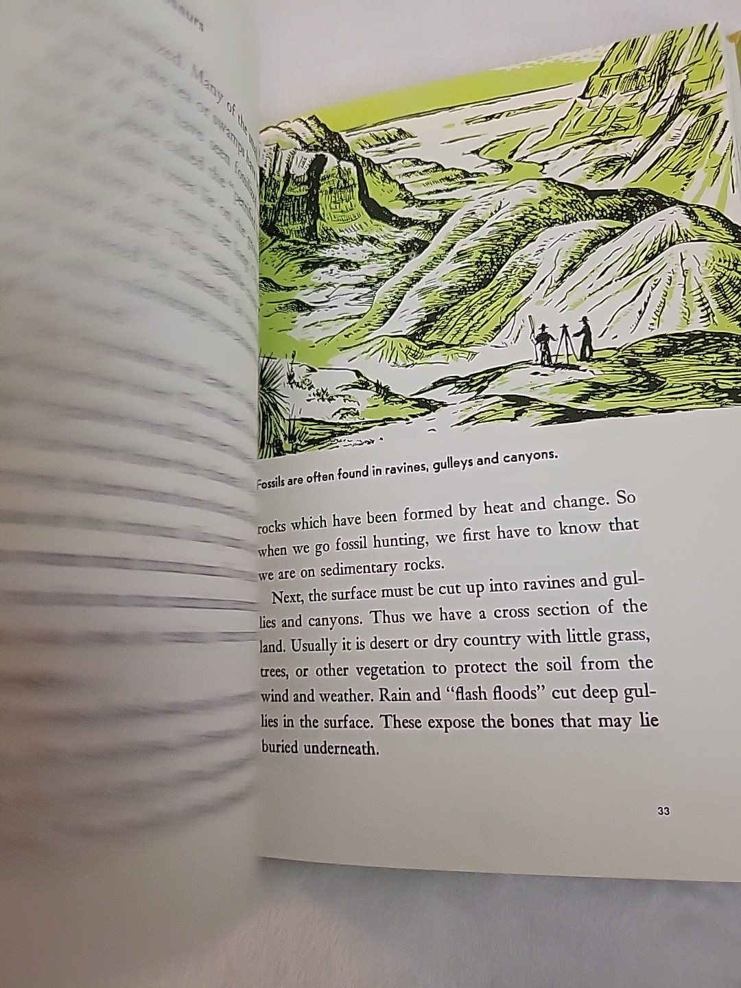 Vintage All About Dinosaurs Roy Chapman Andrews Hardback Book 1953