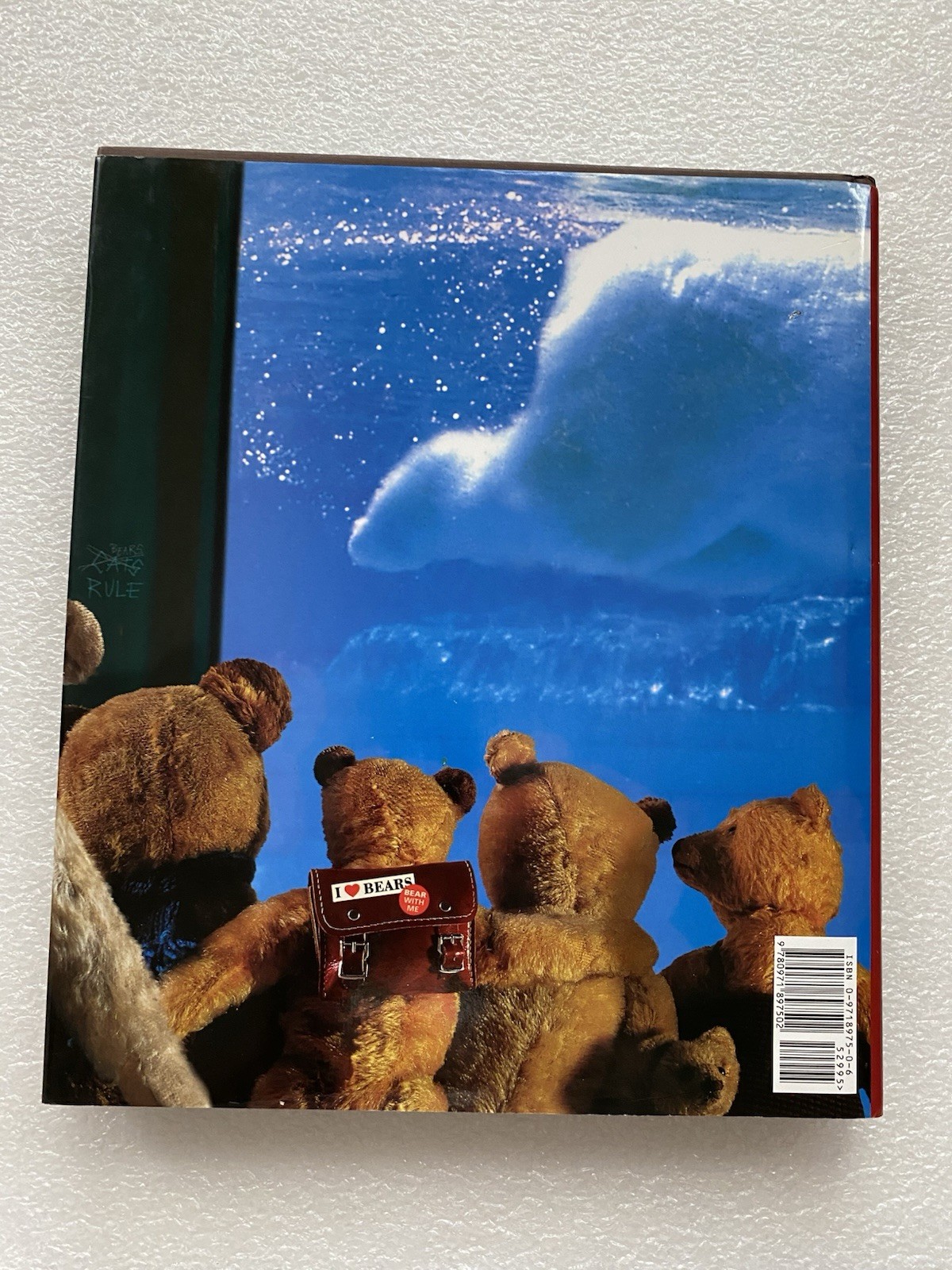 Teddy’s World Large Book by Joost Elffers and Mirja de Vries (2002 Hardcover)