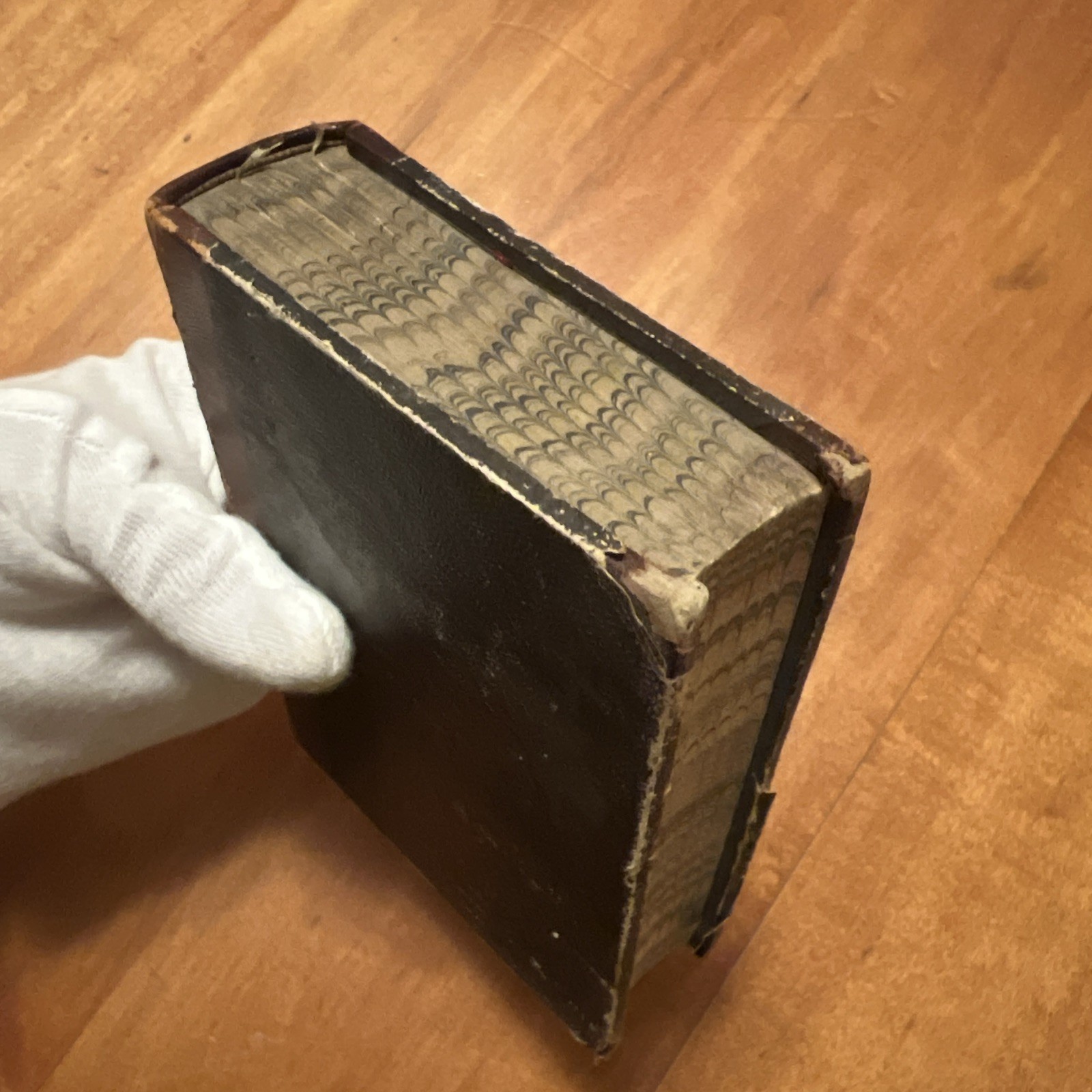 Rare 1855 F.W. Hackländer’s Werke Vol. 1 w/ Portrait, Adolf Krabbe, Half-Leather