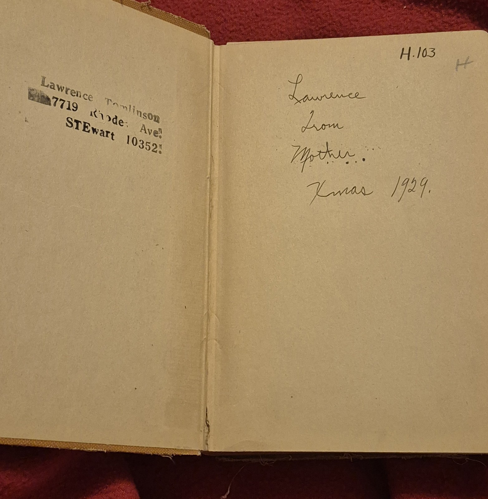 A. L. Burt Company The Camp-Fire Boys in the Brazilian Wilderness HC 1929 Illus