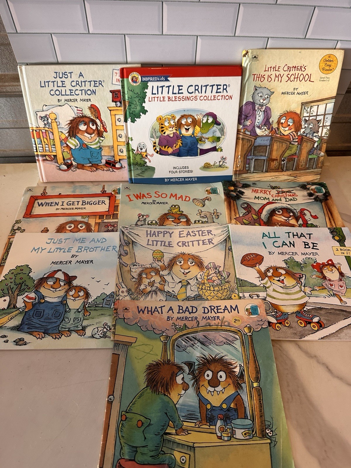 Little Critter Book Collection by Mercer Mayer Lot Of 10 (540)