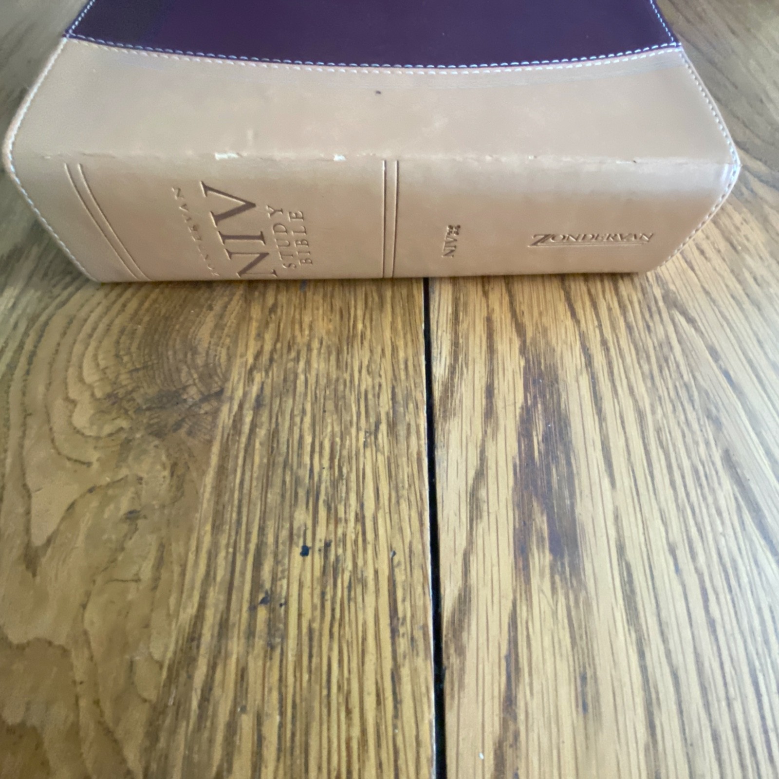 NIV Compact Study Bible Zondervan Italian Duo Tone Camel Burgundy