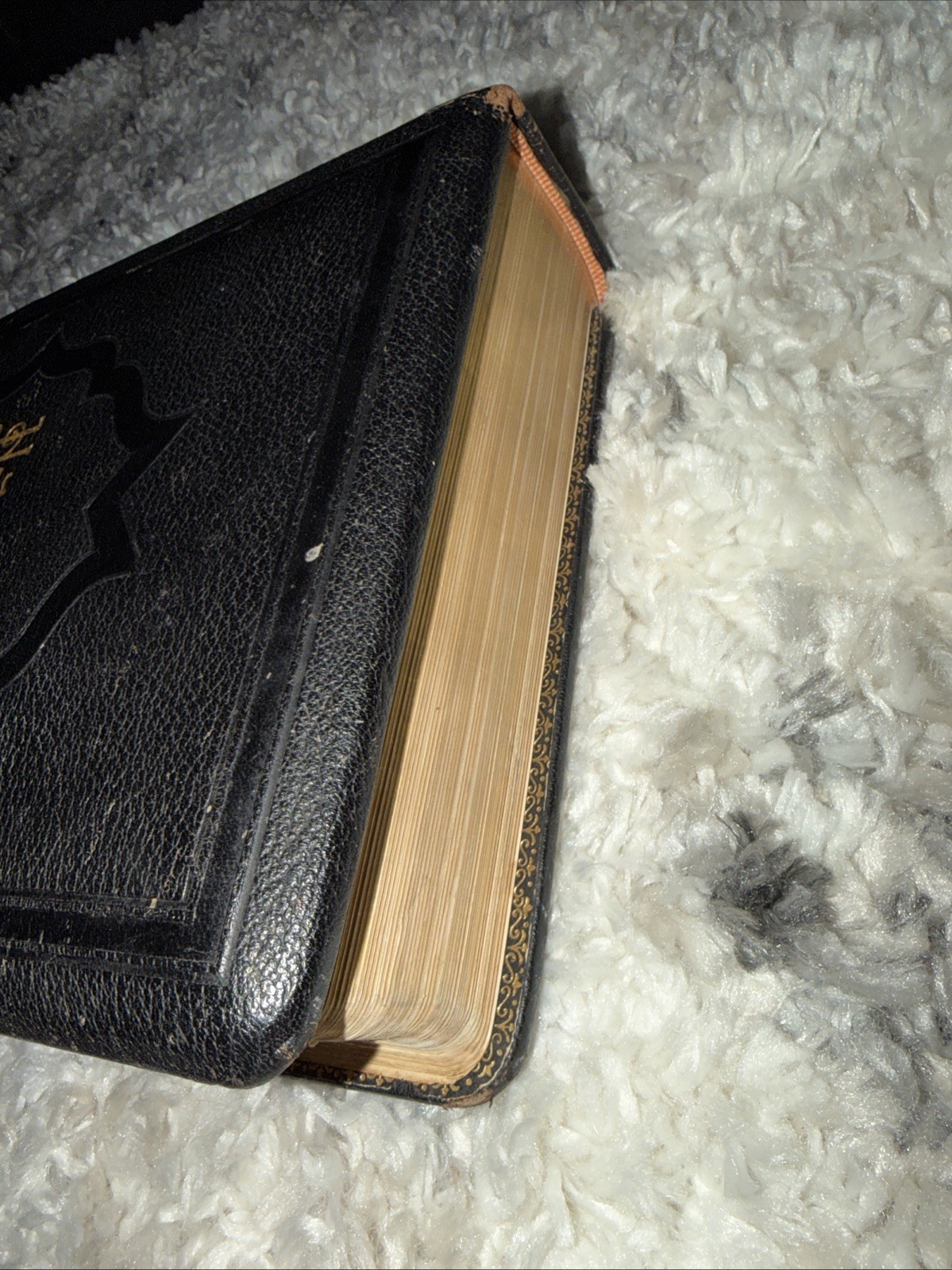 THE HOLY BIBLE, CONTAINING THE OLD AND NEW TESTAMENTS LEATHER BOUND INDEXED RARE