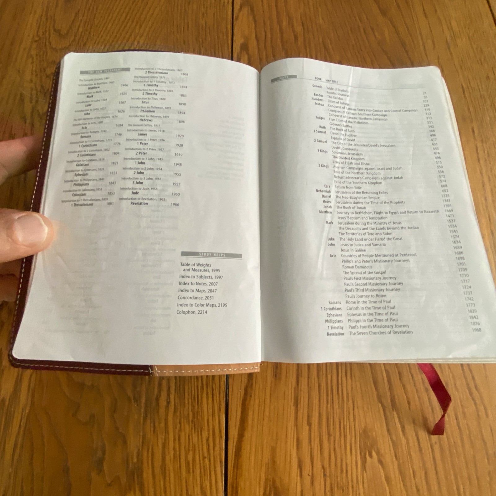 NIV Compact Study Bible Zondervan Italian Duo Tone Camel Burgundy