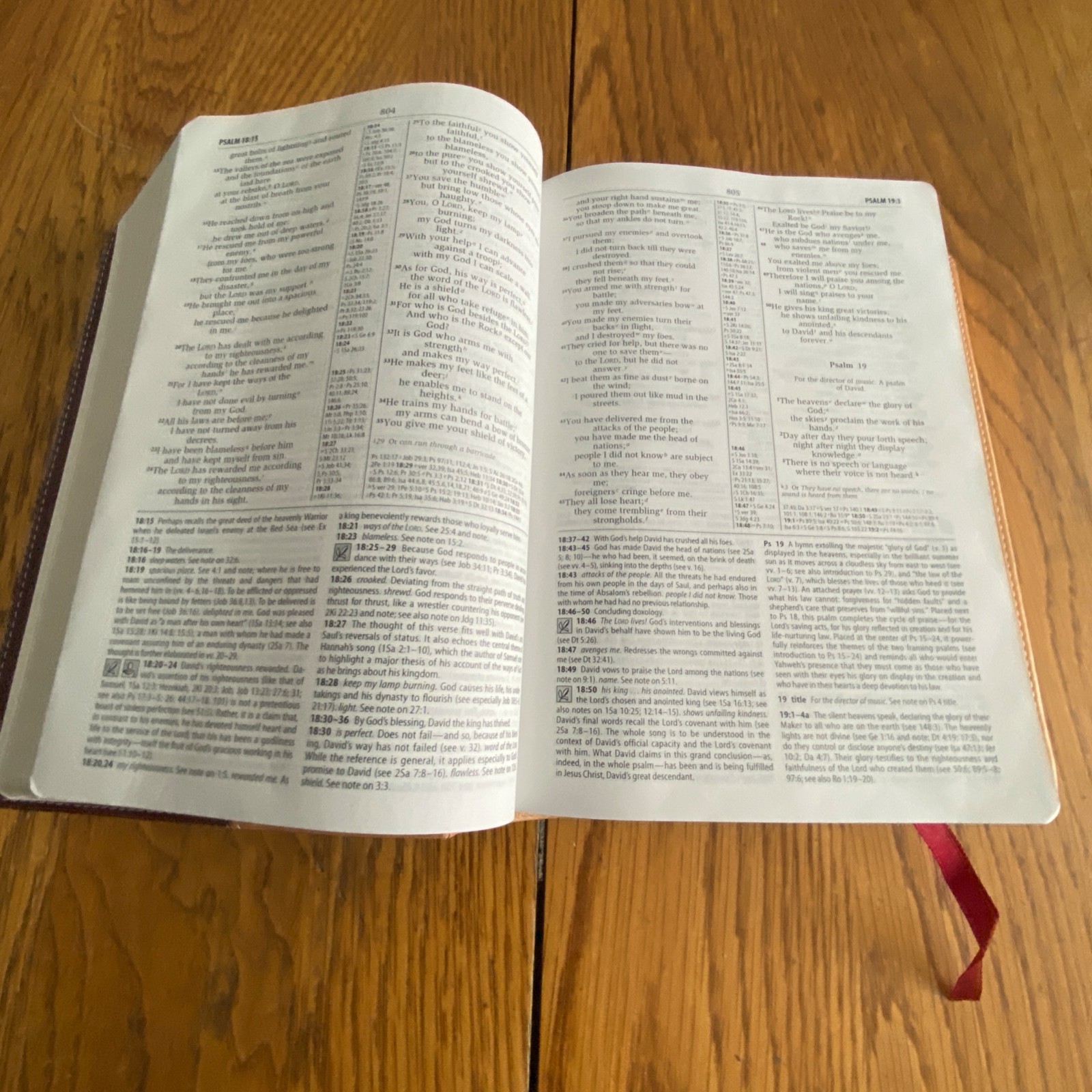 NIV Compact Study Bible Zondervan Italian Duo Tone Camel Burgundy