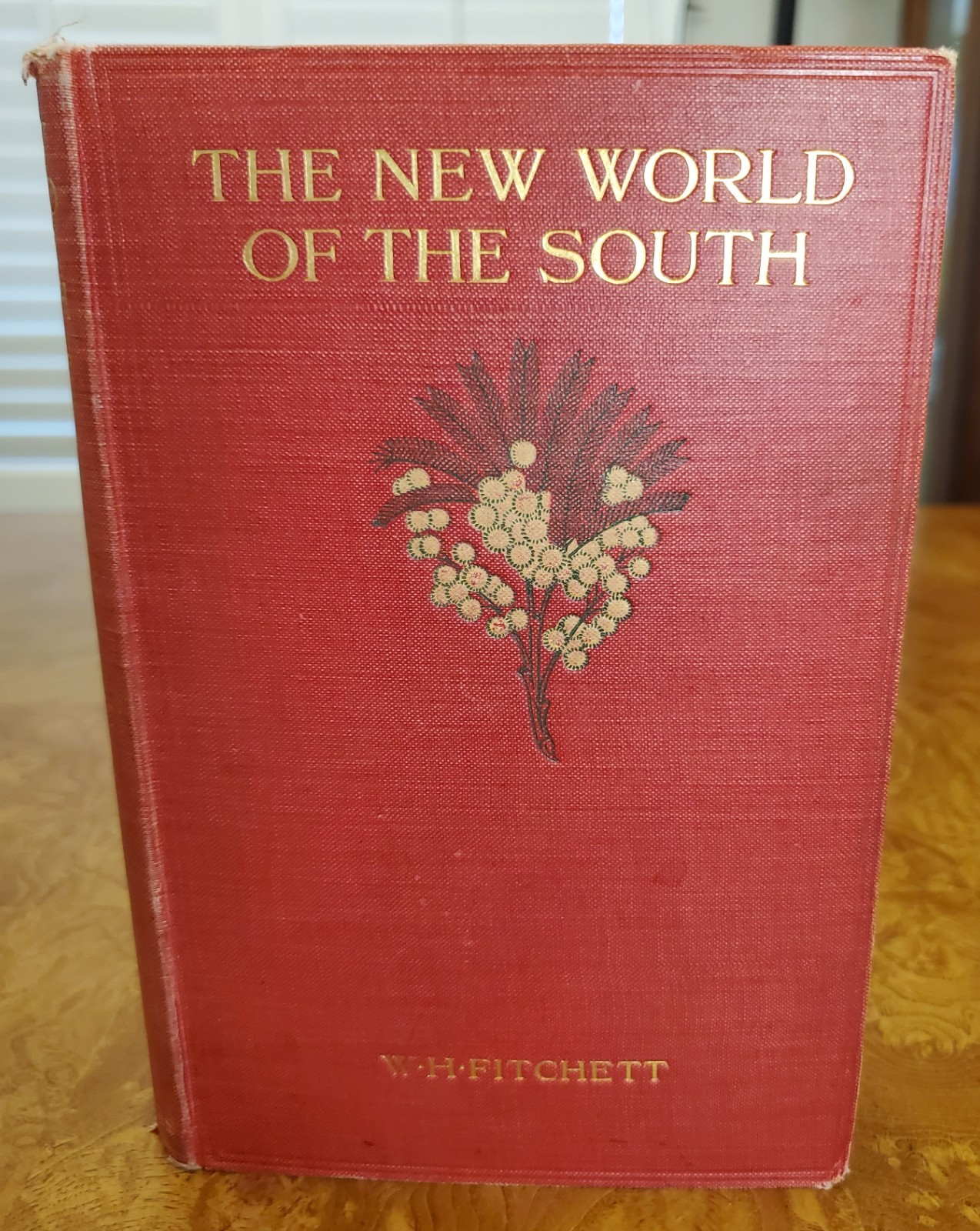 The New World of the South by W. H. Fitchett – 1913 1st edition copy