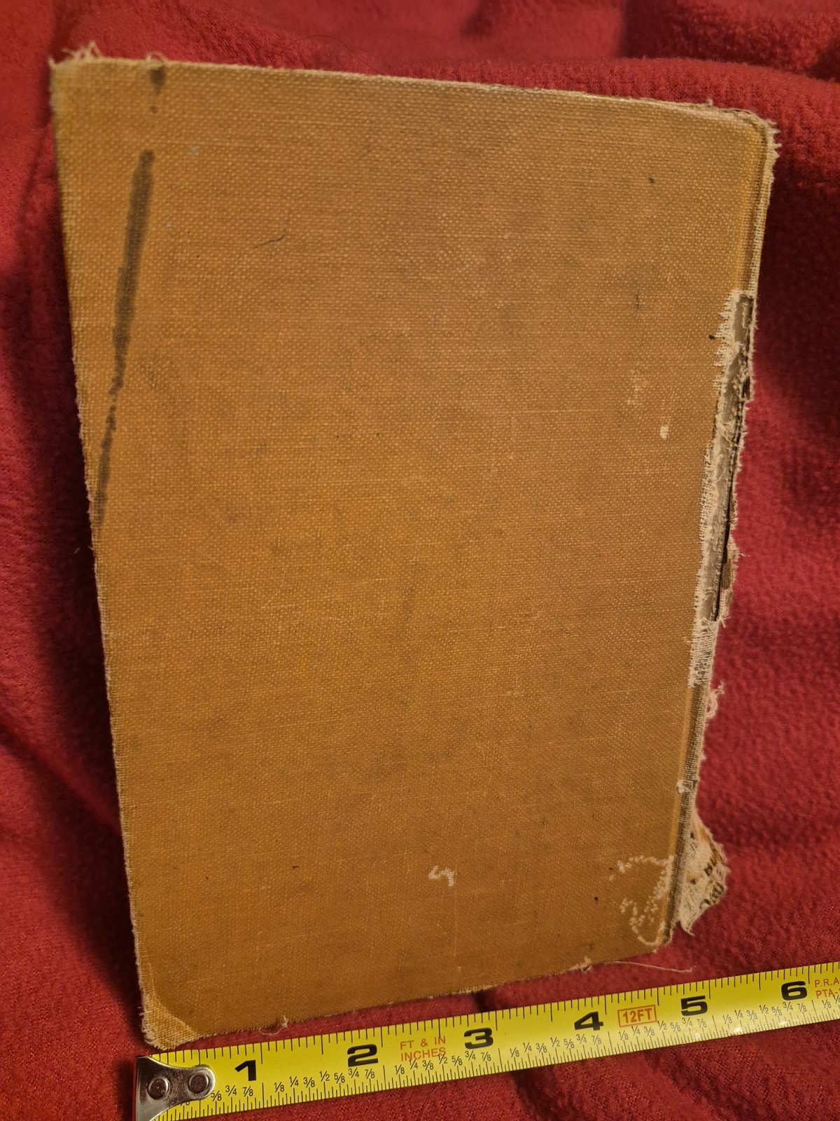 A. L. Burt Company The Camp-Fire Boys in the Brazilian Wilderness HC 1929 Illus