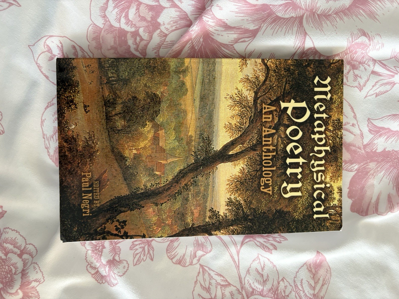 Paul Negri Metaphysical Poetry: An Anthology 2002 Trade PB Unabridged
