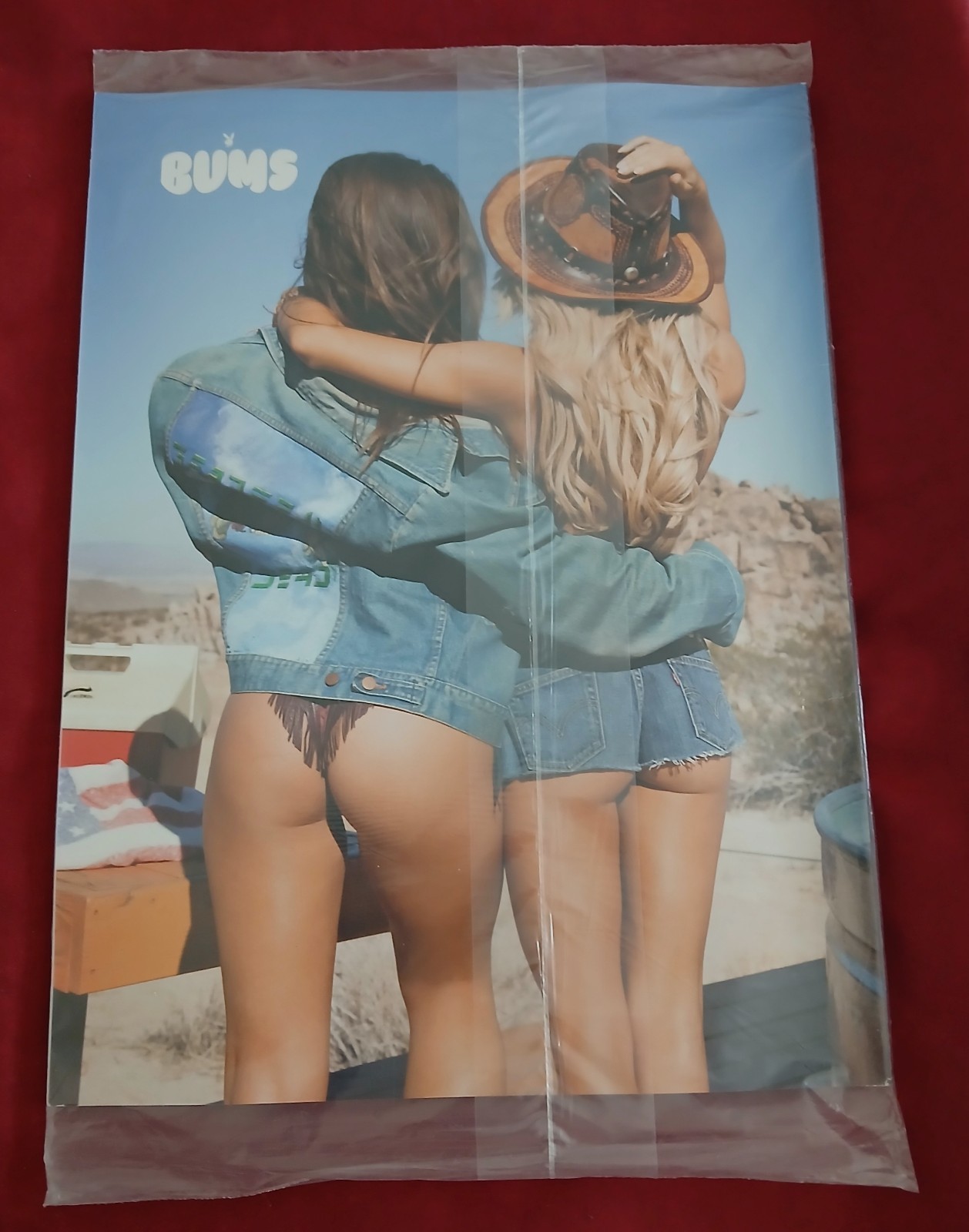 PLAYBOY Magazine Special Collector’s Edition BUMS 2015 NEW Factory Sealed!