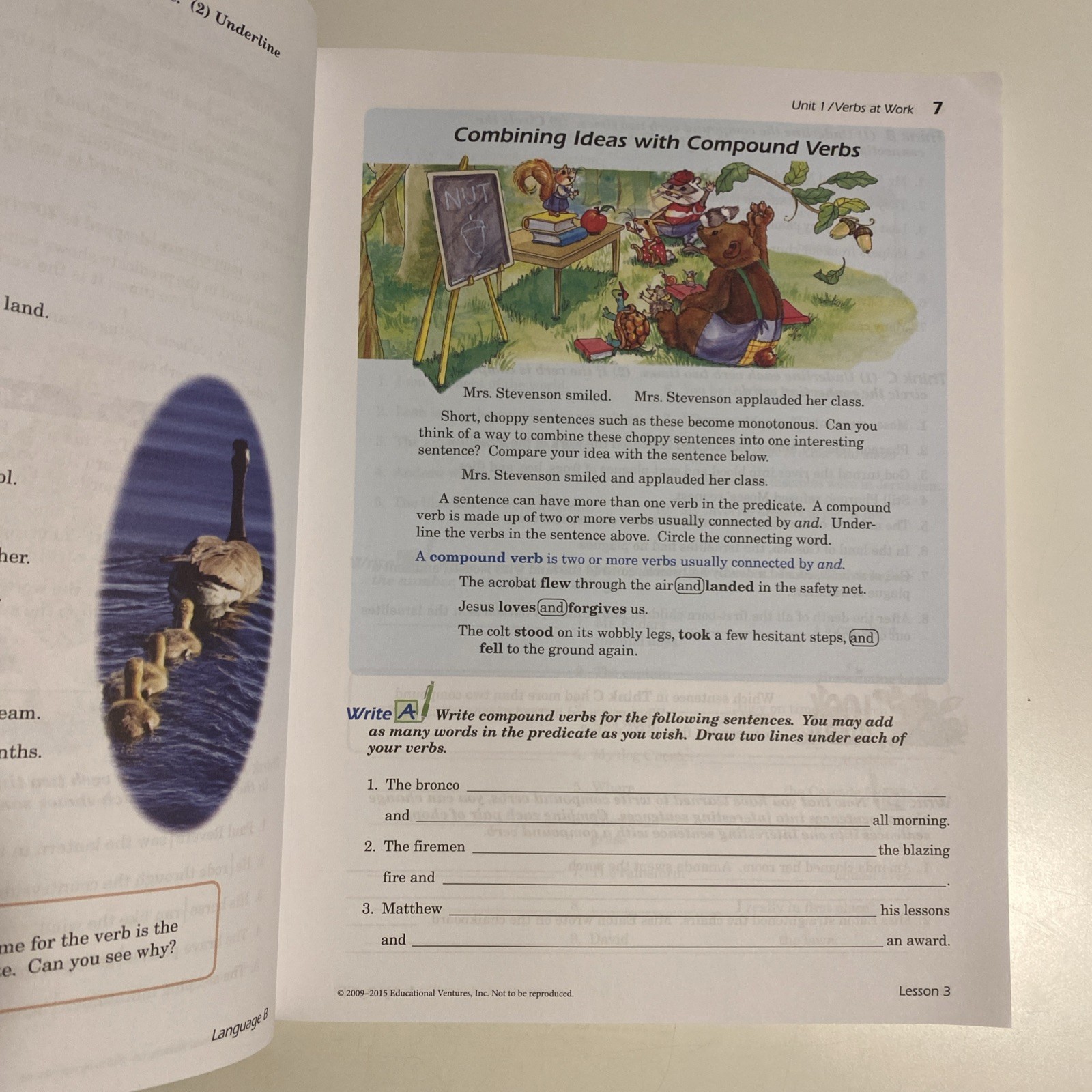 Abeka Language B Student Writing & Grammar Work-text Third Edition