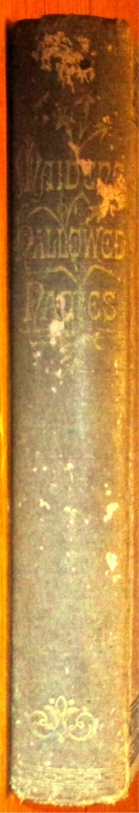 1881 Maidens of Hallowed Names by Charles Piccirillo H/C 366 Pages RARE!!!