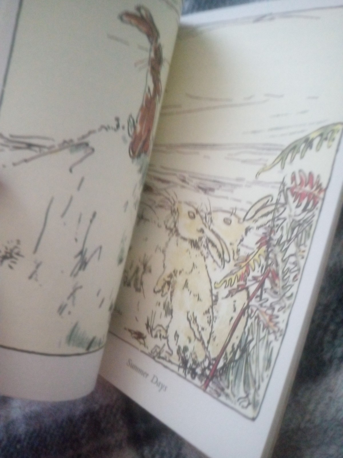 The Velveteen Rabbit by Margery Williams Vintage PB/1975 -First Camelot Printing