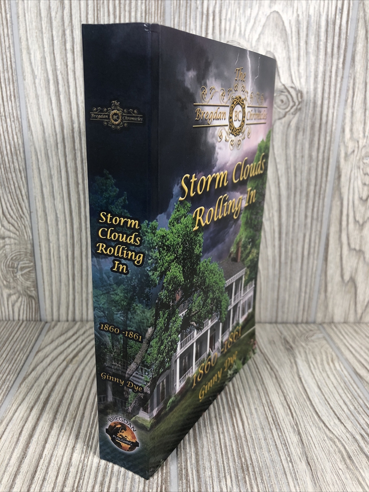 Ginny Dye Storm Clouds Rolling In (# 1 in the Bregdan Chronicles His (Paperback)