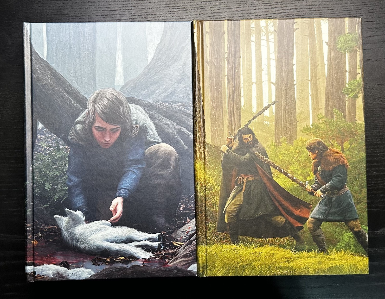 Broken Binding – Malice & Valour John Gwynne The Faith and the Fallen Tier 2 NEW