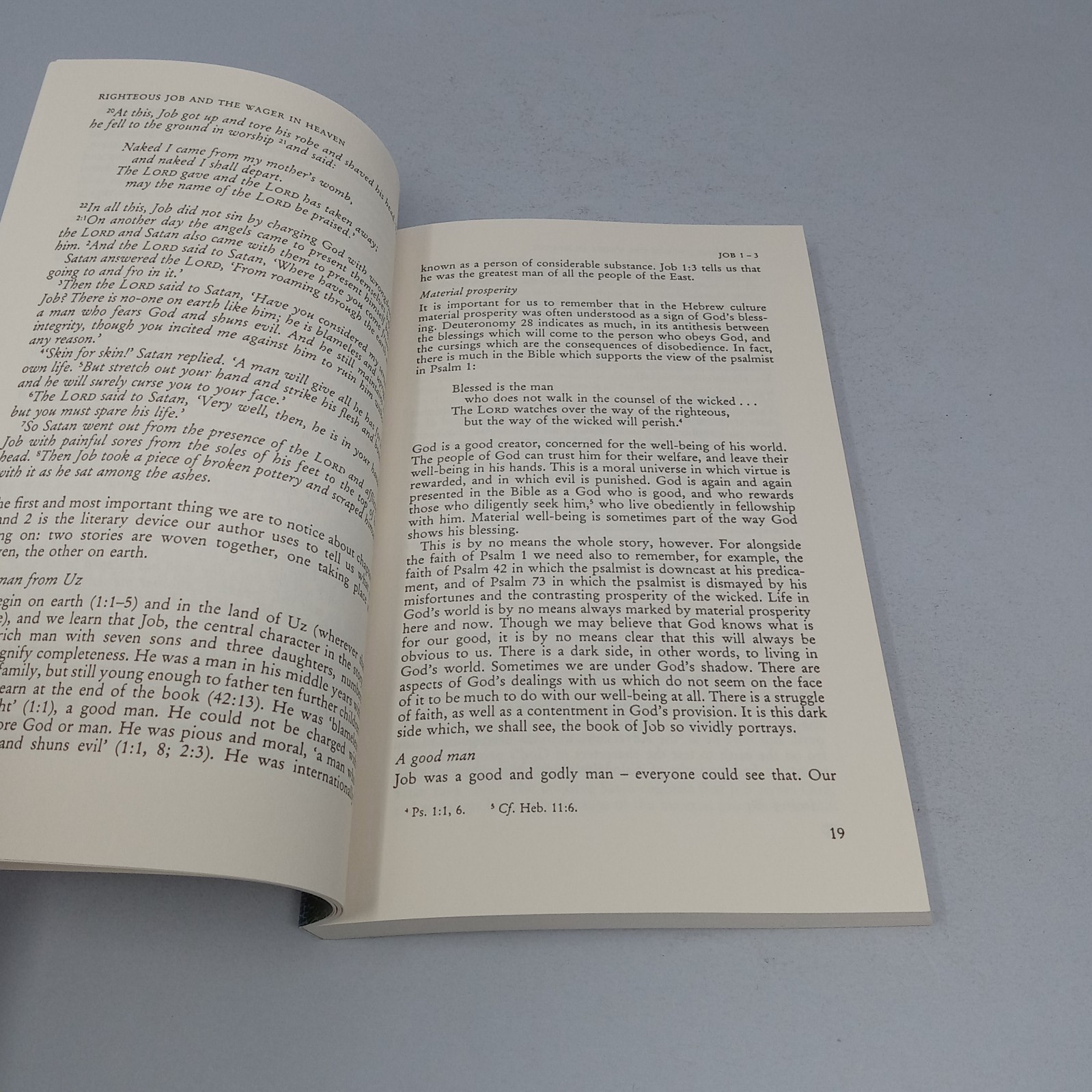 The Message of Job: 1992 InterVarsity Press Paperback by David Atkinson