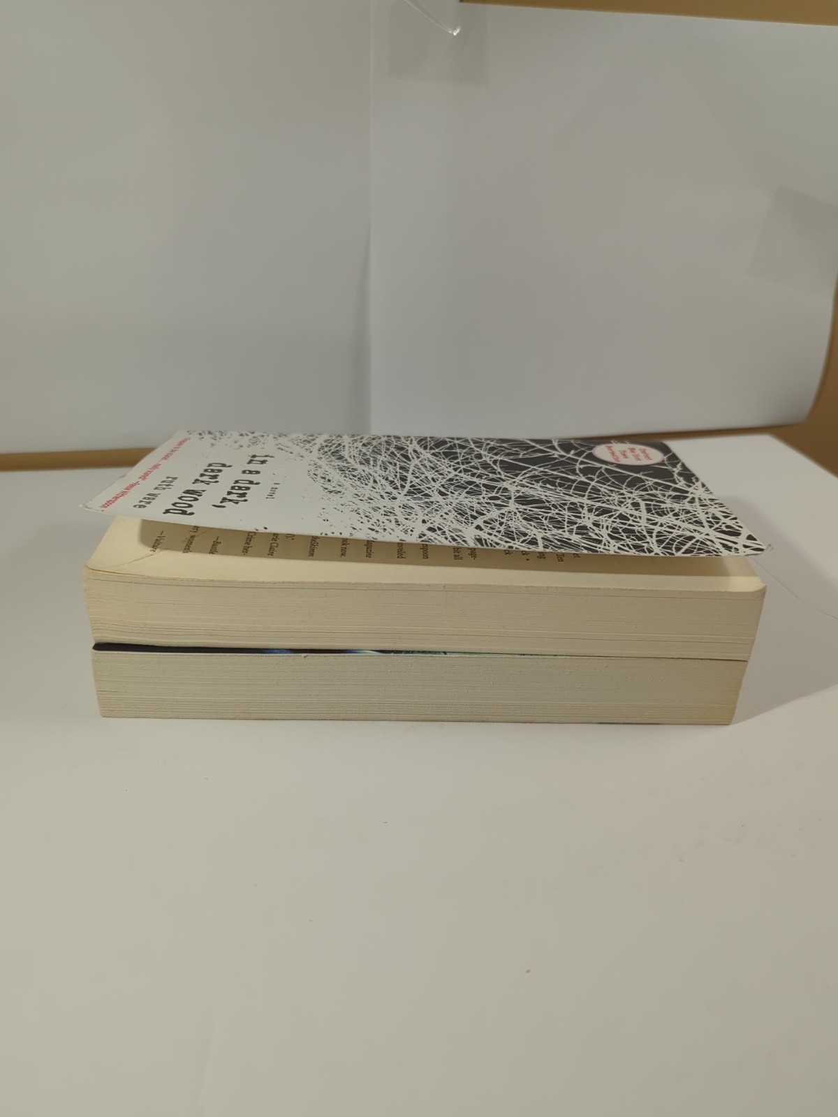 2 X Ruth Ware Softcover Bundle, Psychological Thriller, Mystery Suspense