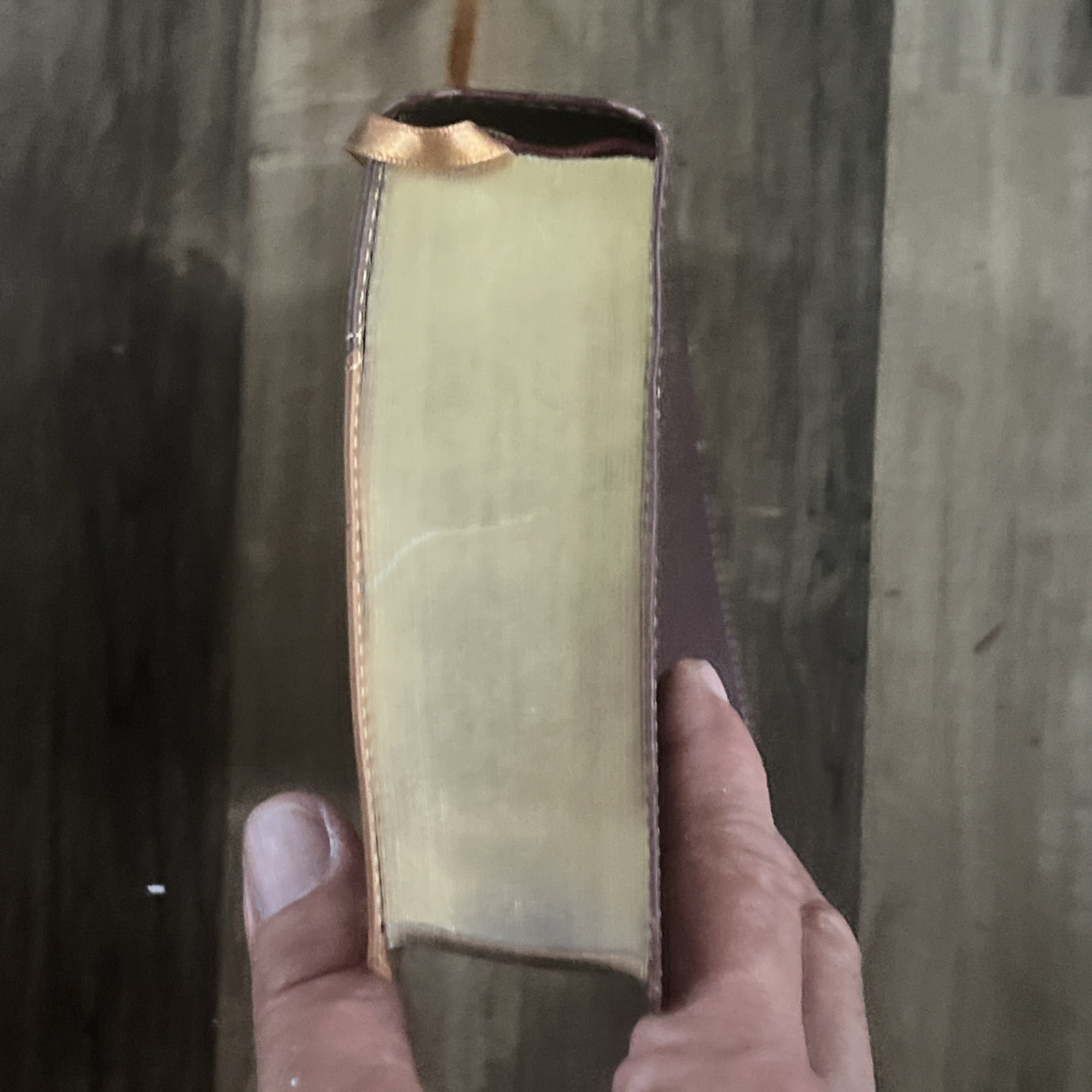 Zondervan NIV Compact Study Bible Italian Duo-Tone Tan Burgundy 2011 Small Print