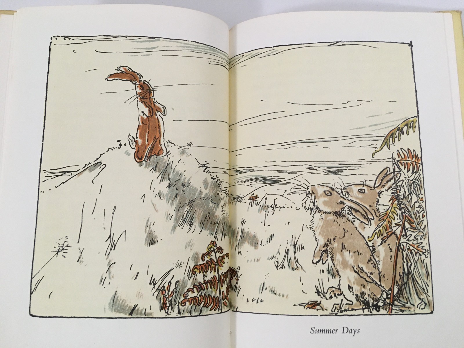 The Velveteen Rabbit by Margery Williams 1st Ed. 13th Printing HCDJ