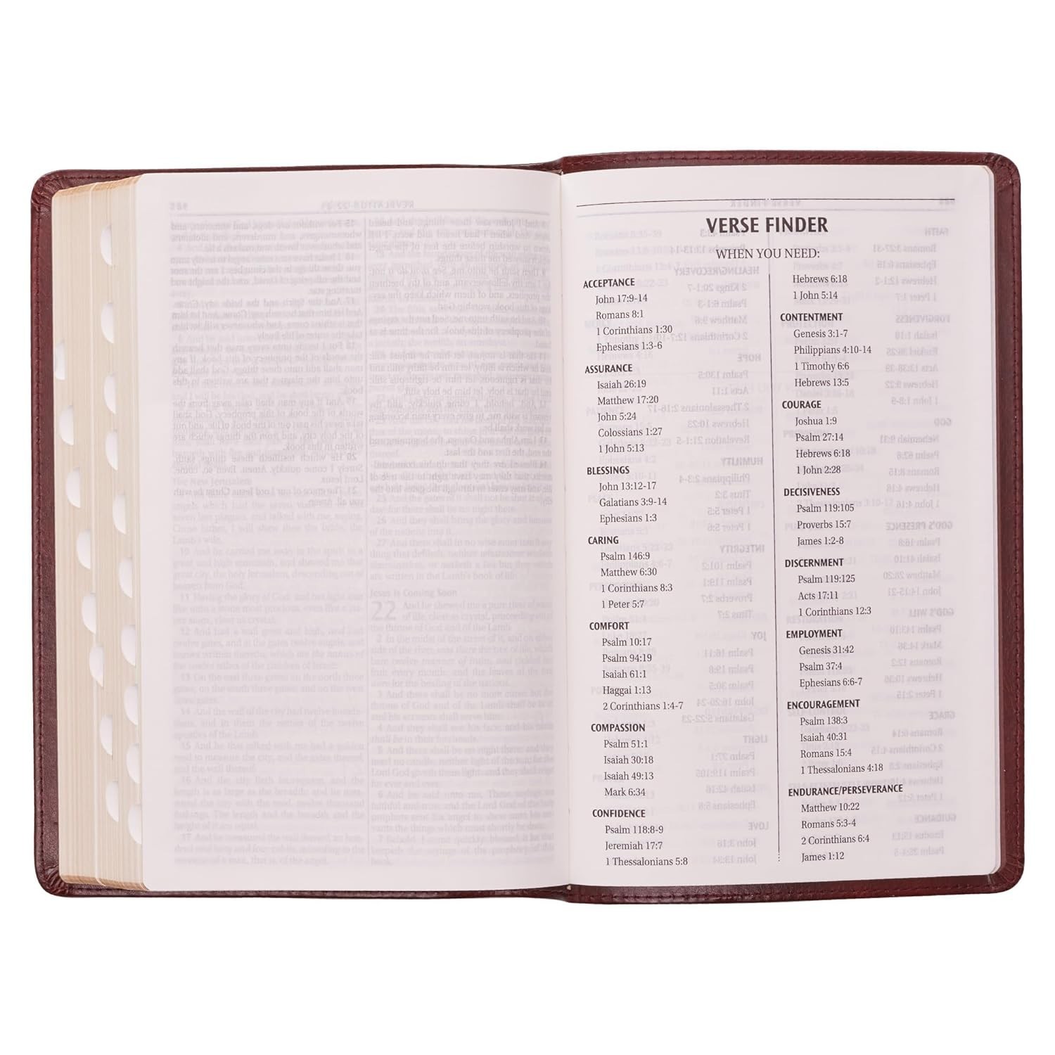 The Holy Bible Kings James Version Bible Thumb Indexed Red Letter / Brown NEW***